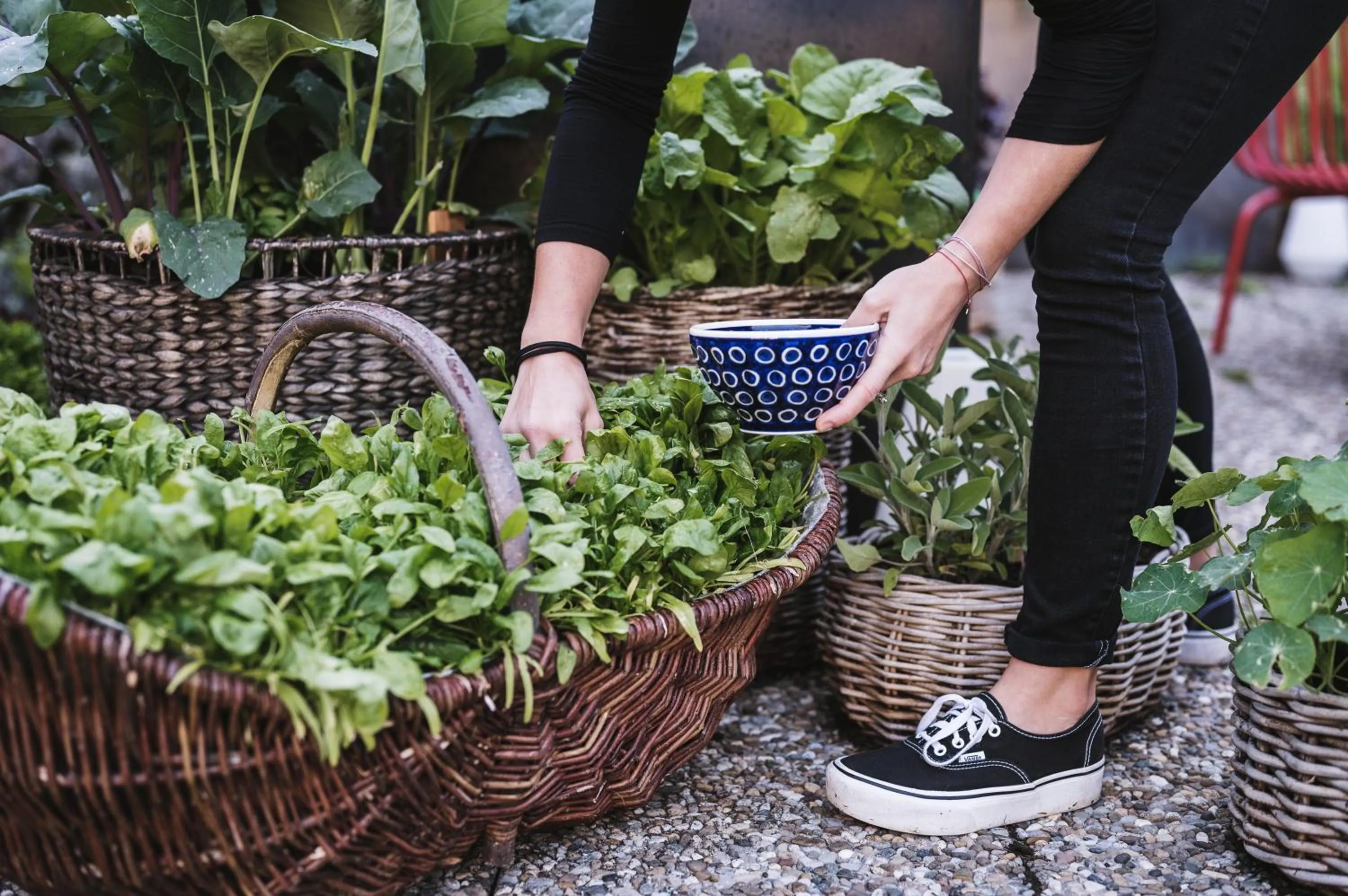 Garden in Heimspitze - Alpenhotel SKI-IN & Wirtshaus