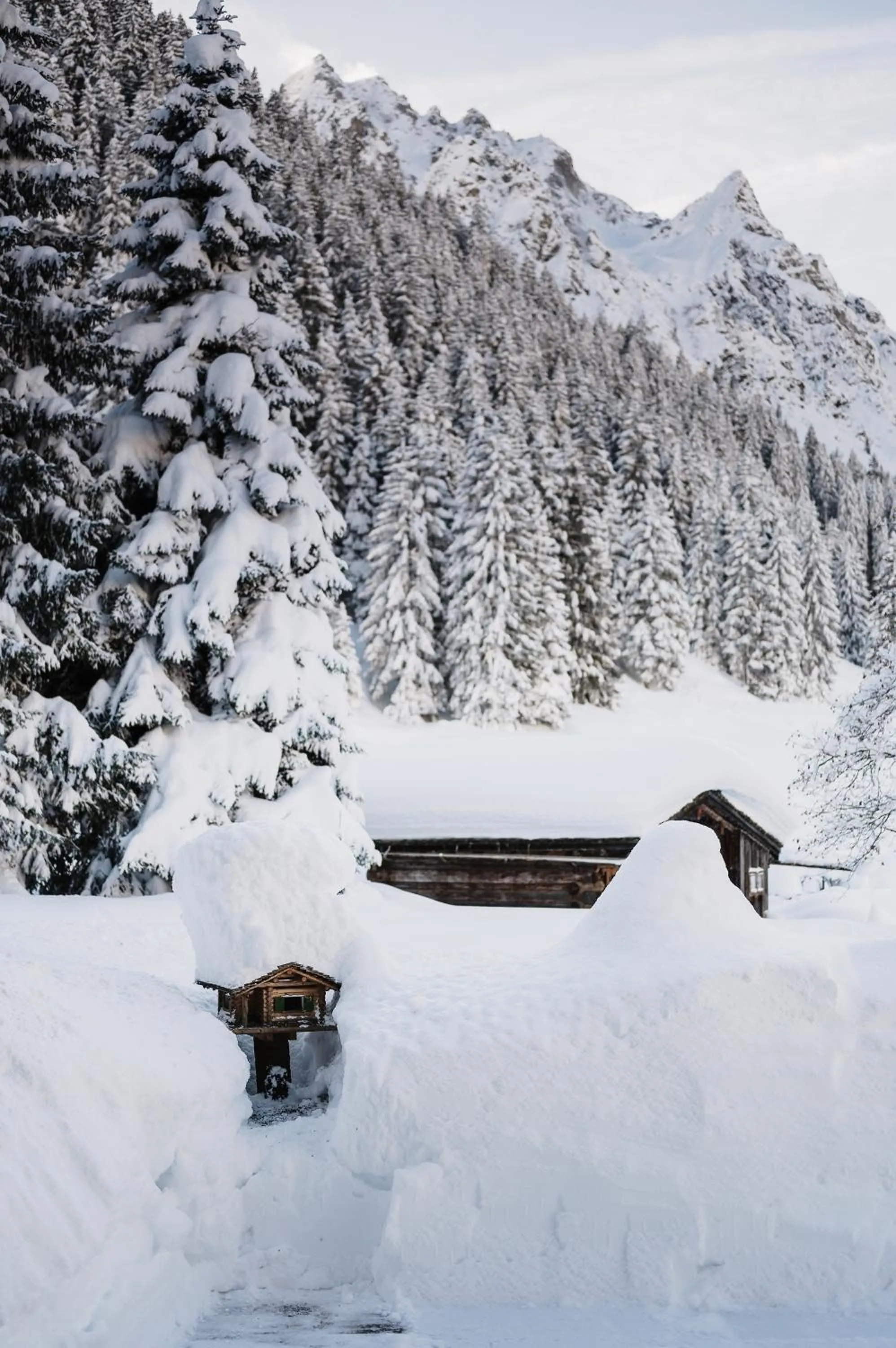 Facade/entrance in Heimspitze - Alpenhotel SKI-IN & Wirtshaus