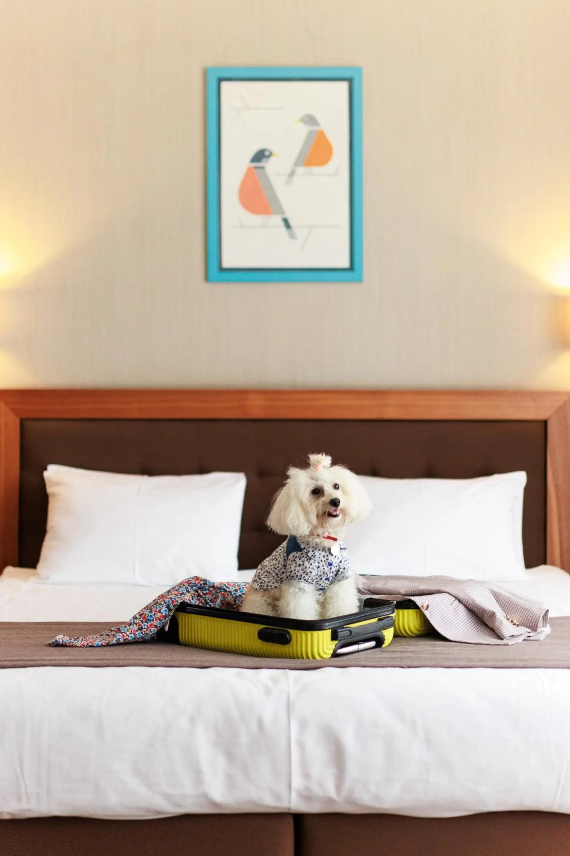 Animals, Bed in Taurus City Hotel