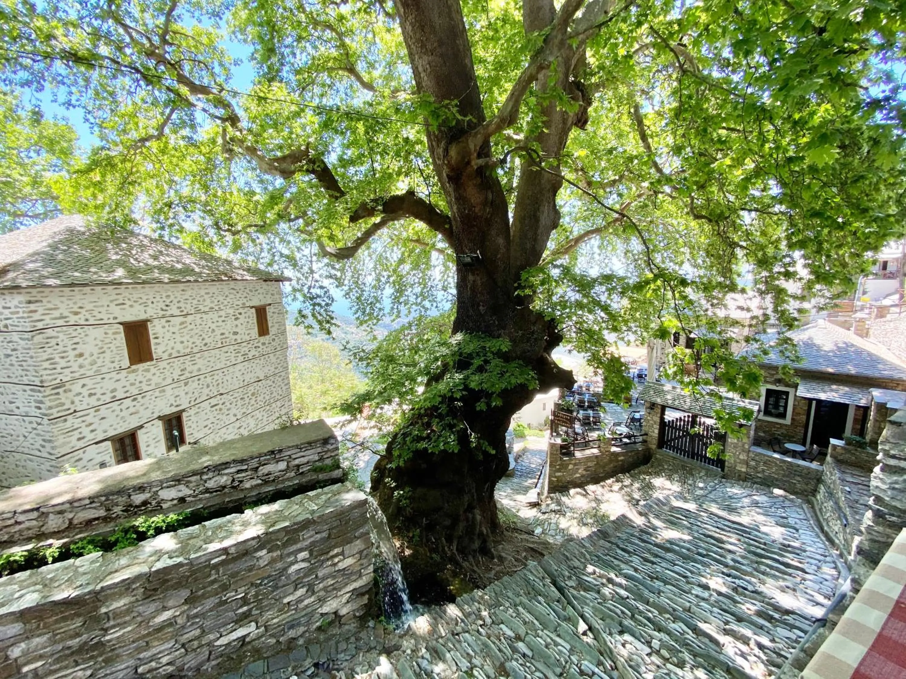 Archontika Karamarlis