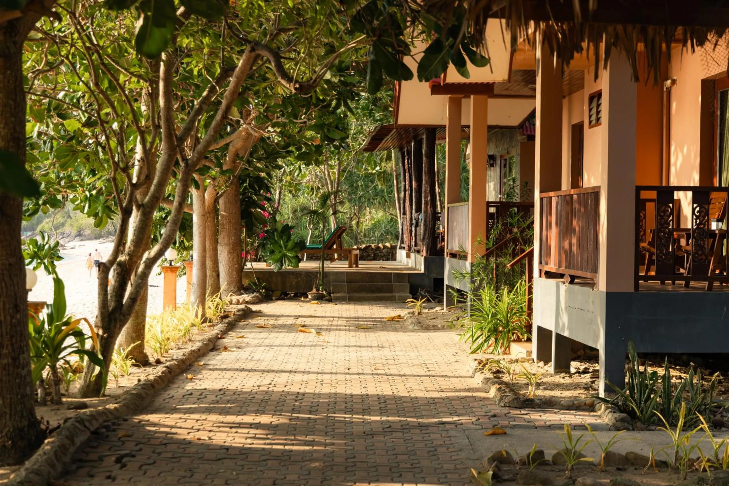 Property building in Dream Team Beach Resort