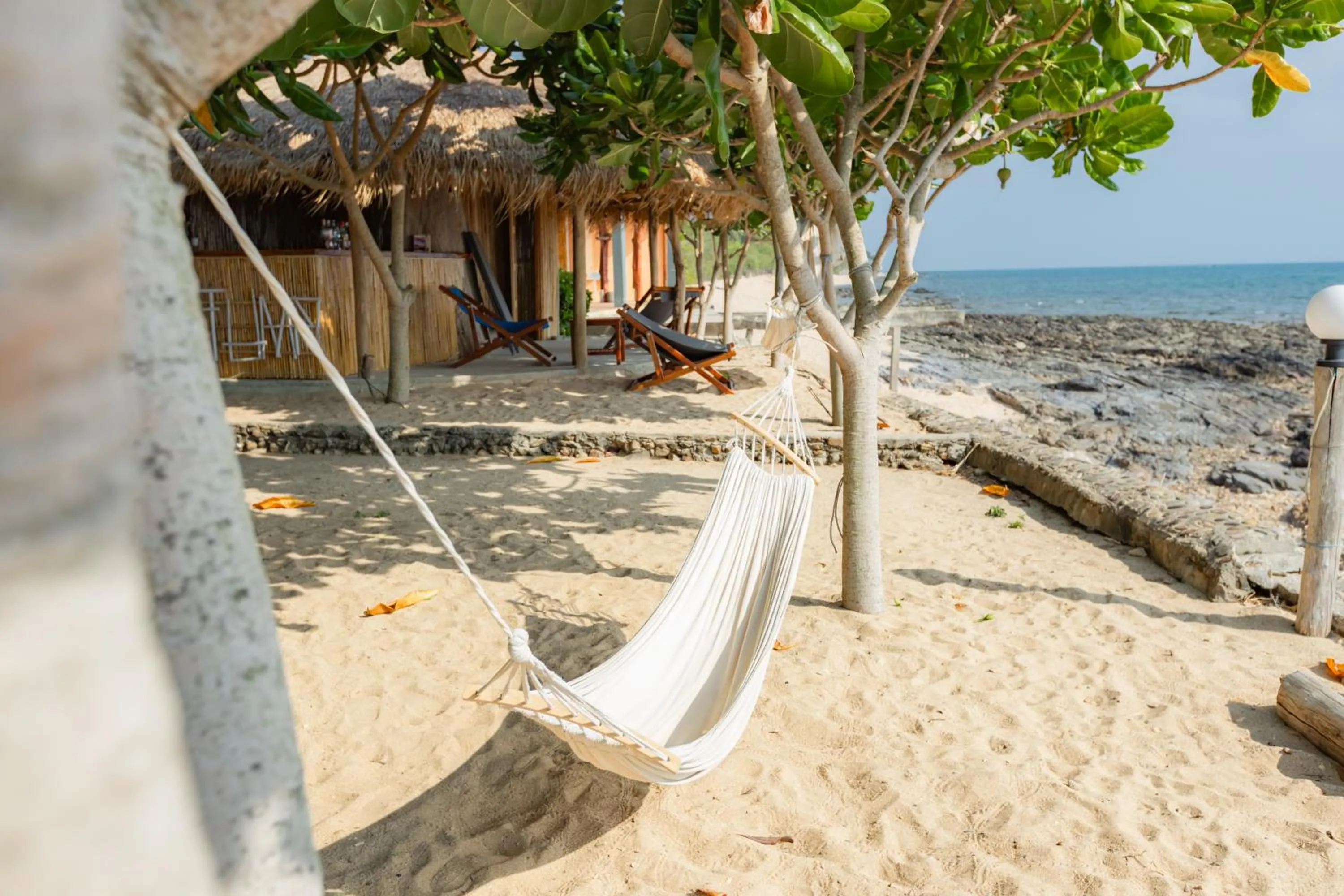 Natural landscape in Dream Team Beach Resort