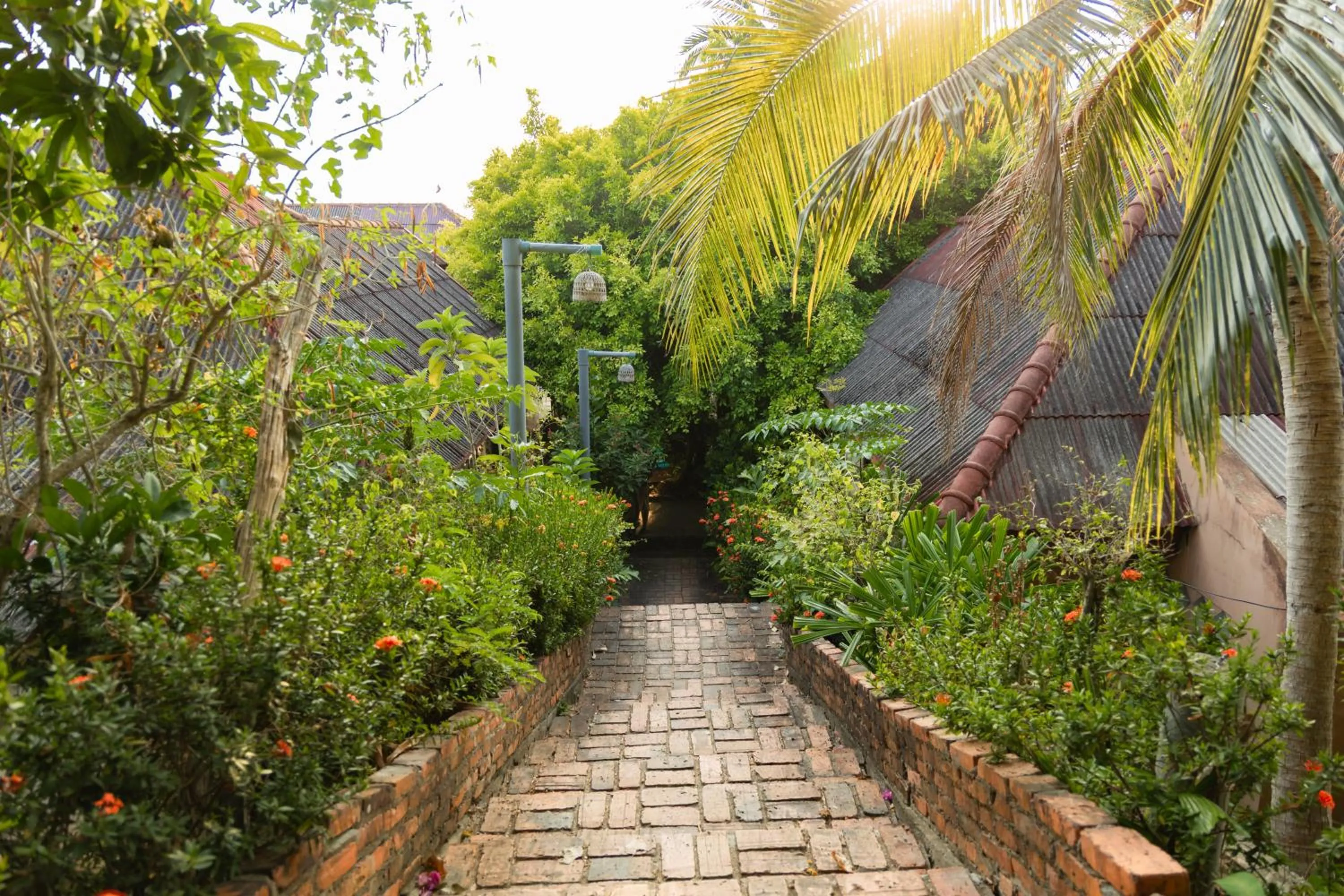 Natural landscape in Dream Team Beach Resort