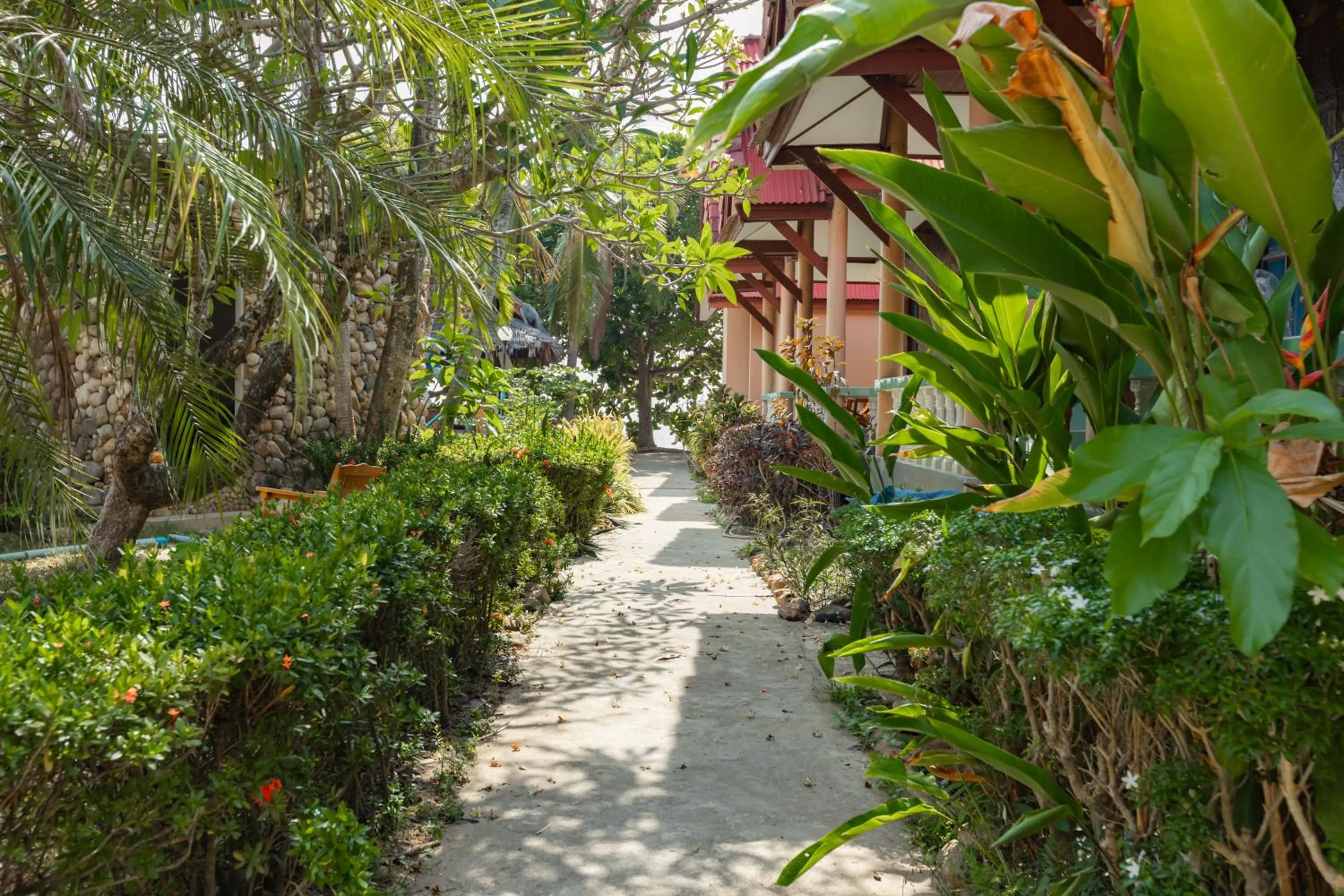 Garden view in Dream Team Beach Resort