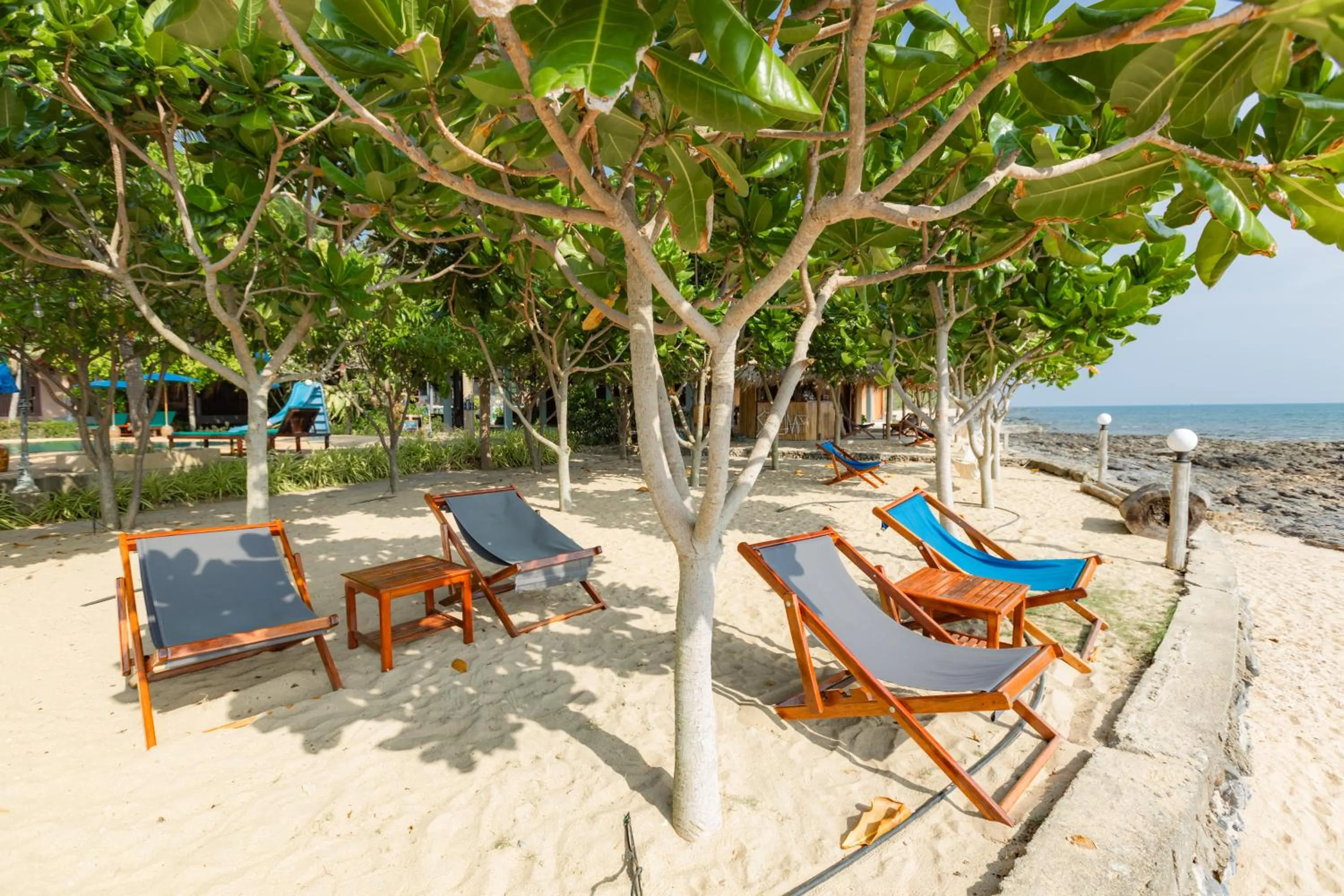 sunbed in Dream Team Beach Resort