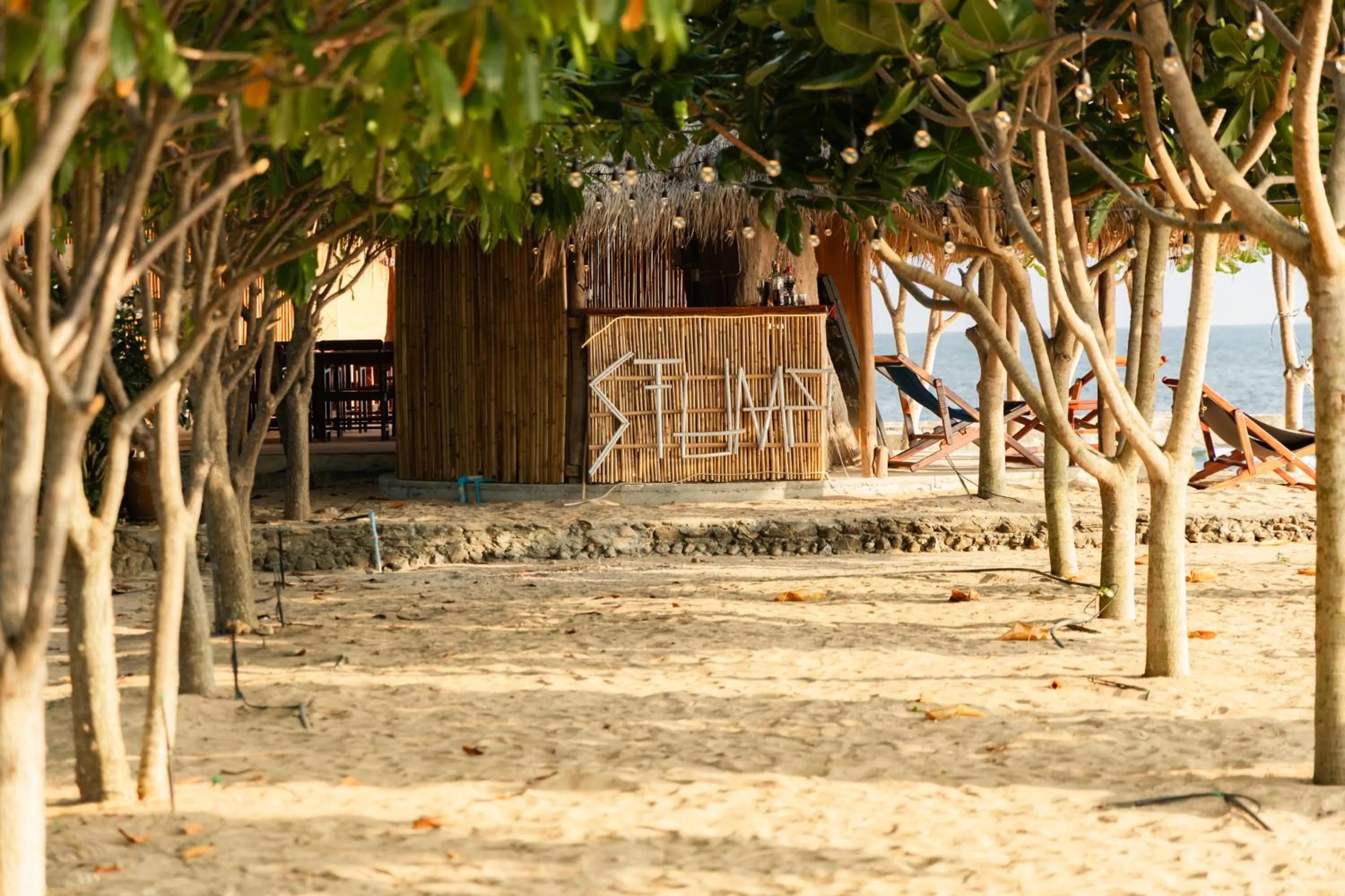 Natural landscape in Dream Team Beach Resort