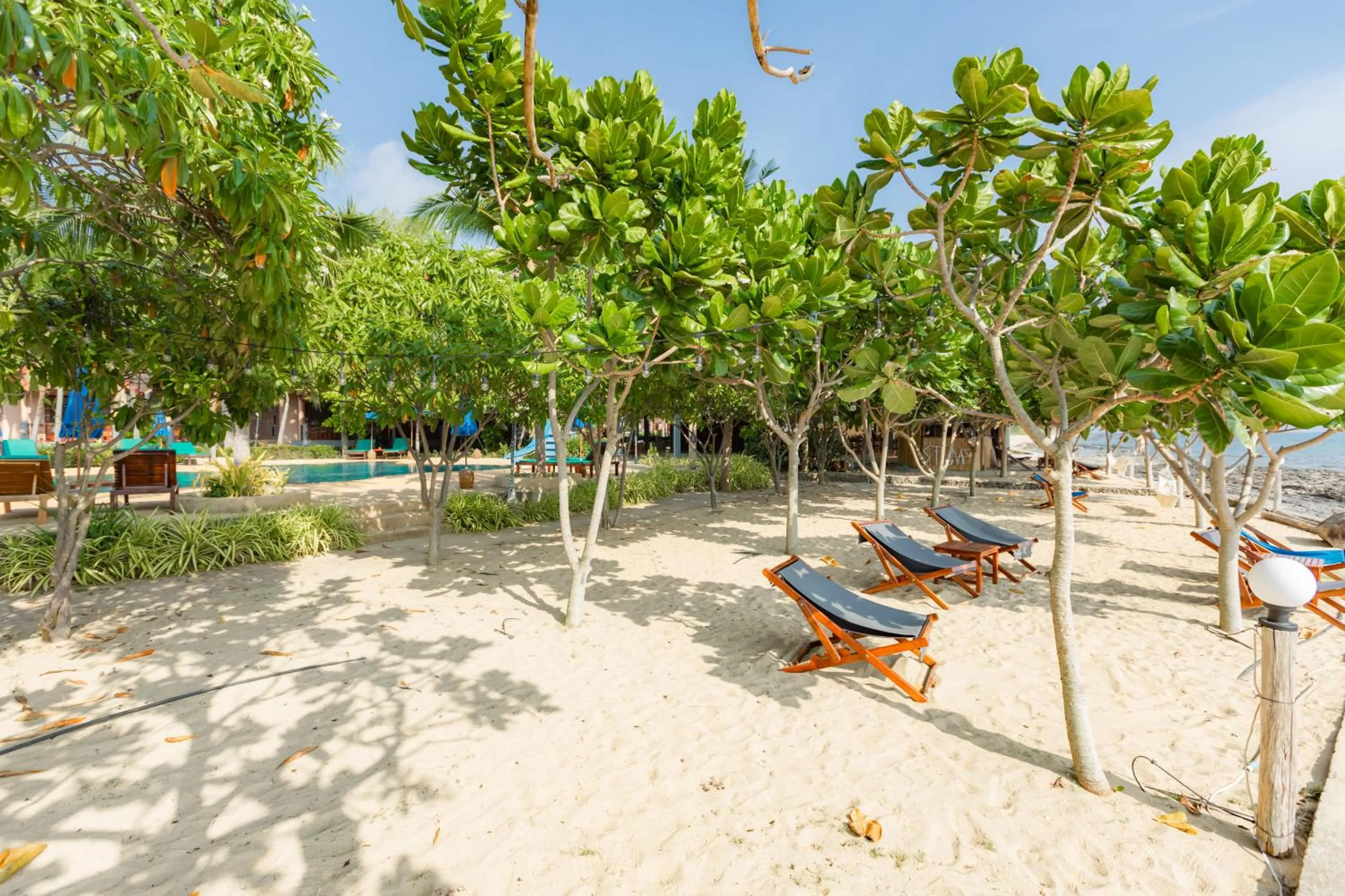 Garden view in Dream Team Beach Resort