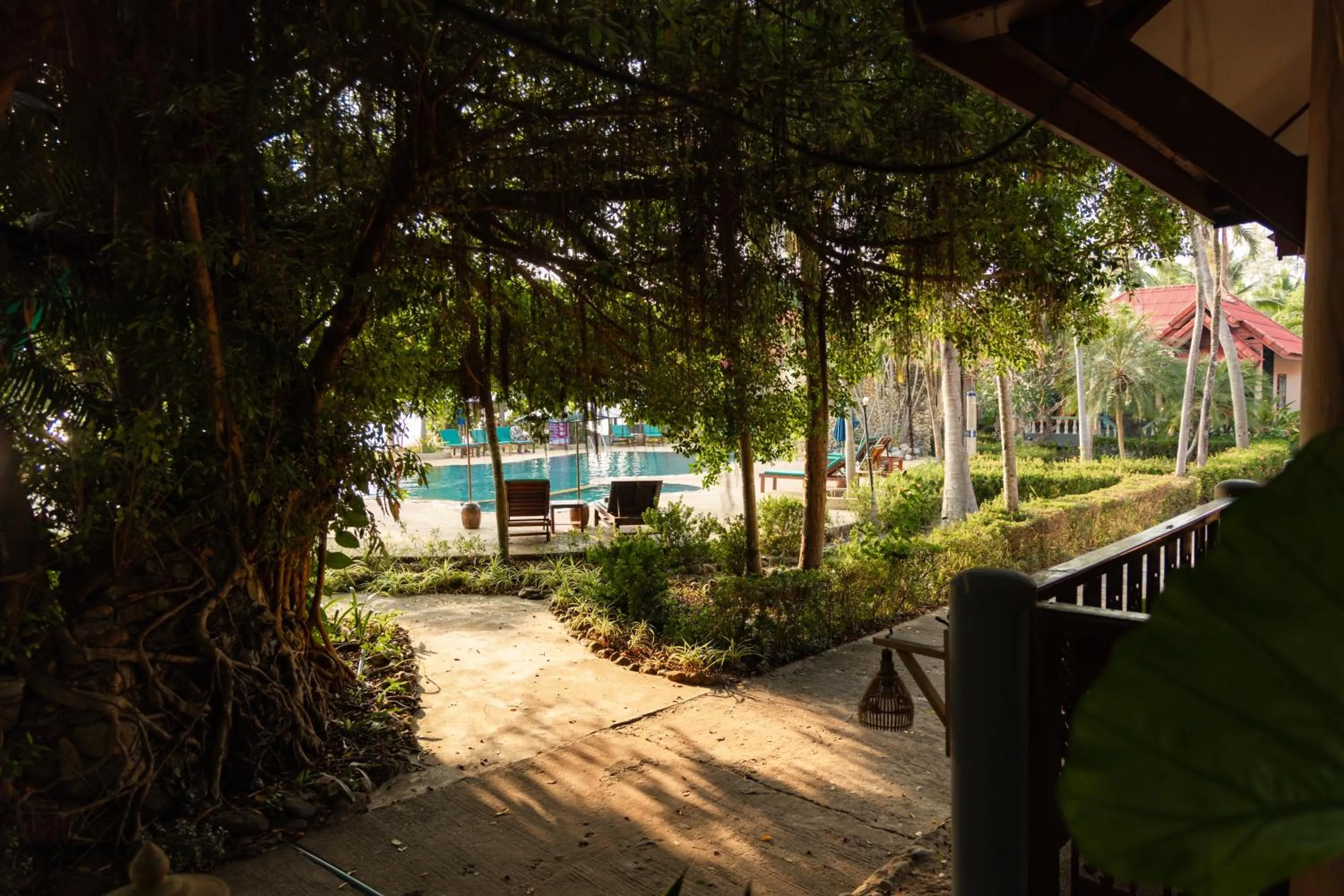 Natural landscape in Dream Team Beach Resort