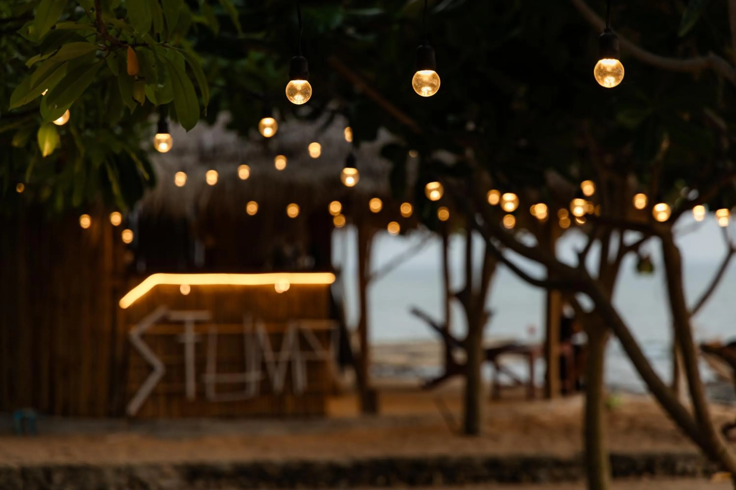 Night in Dream Team Beach Resort