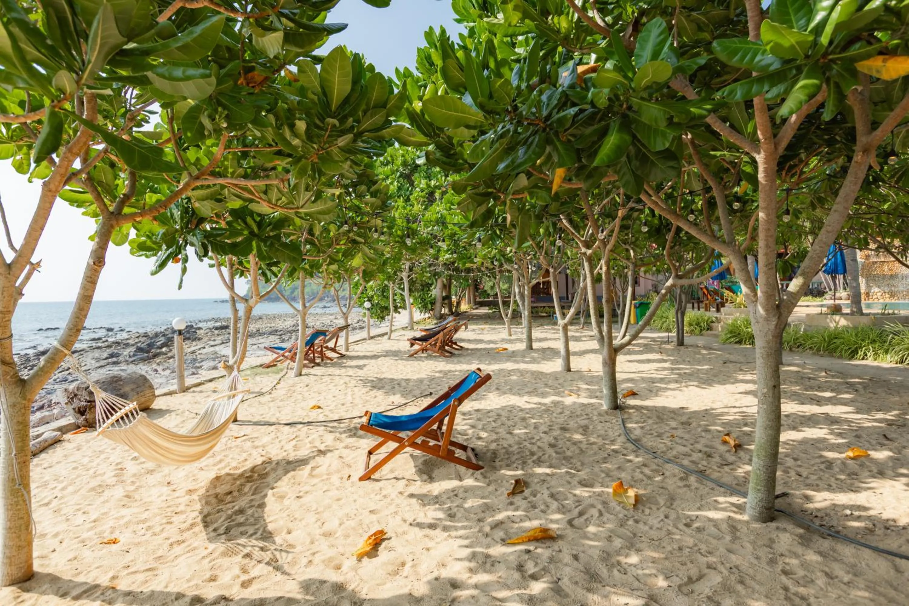 sunbed in Dream Team Beach Resort