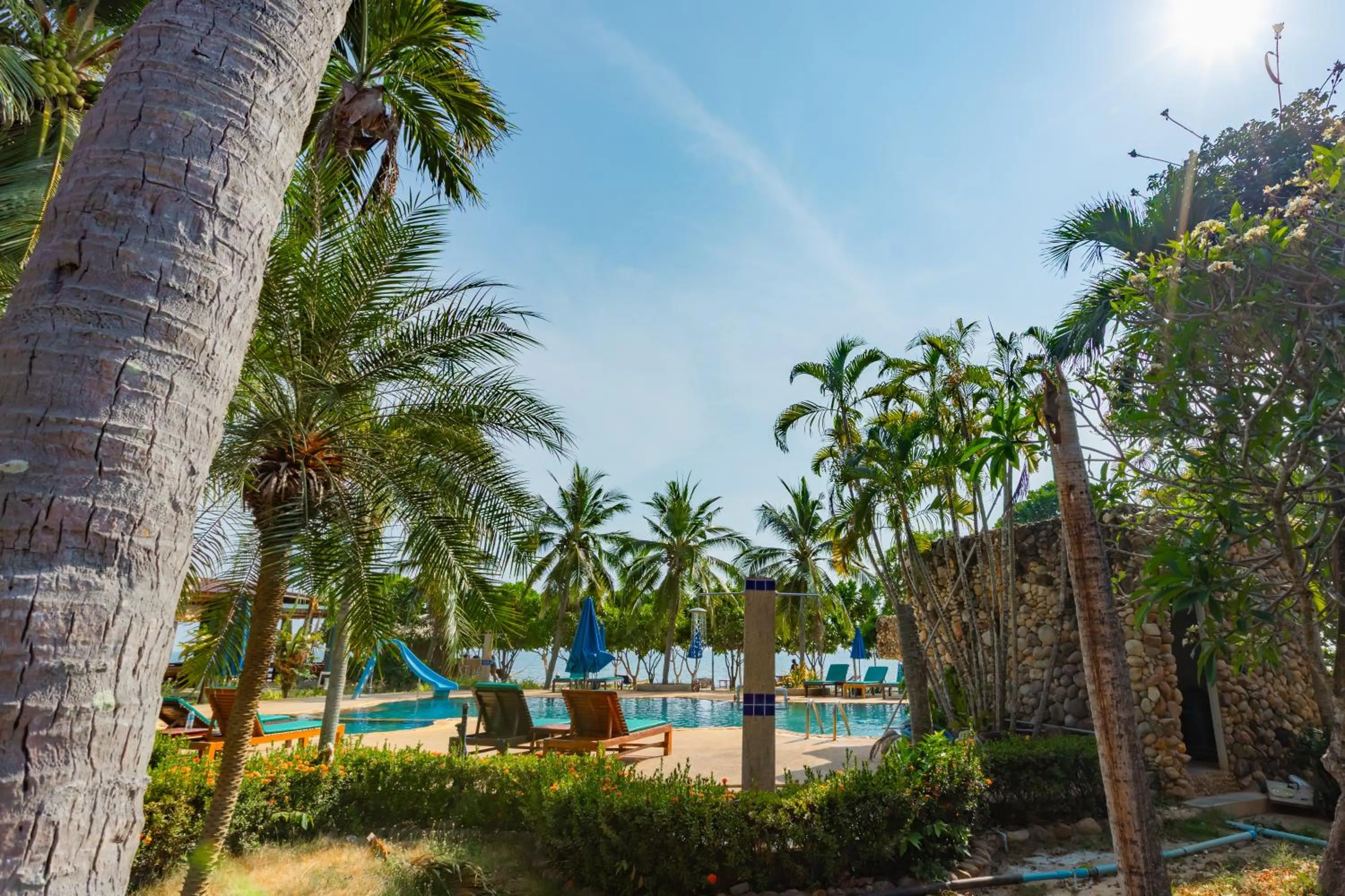 Garden in Dream Team Beach Resort