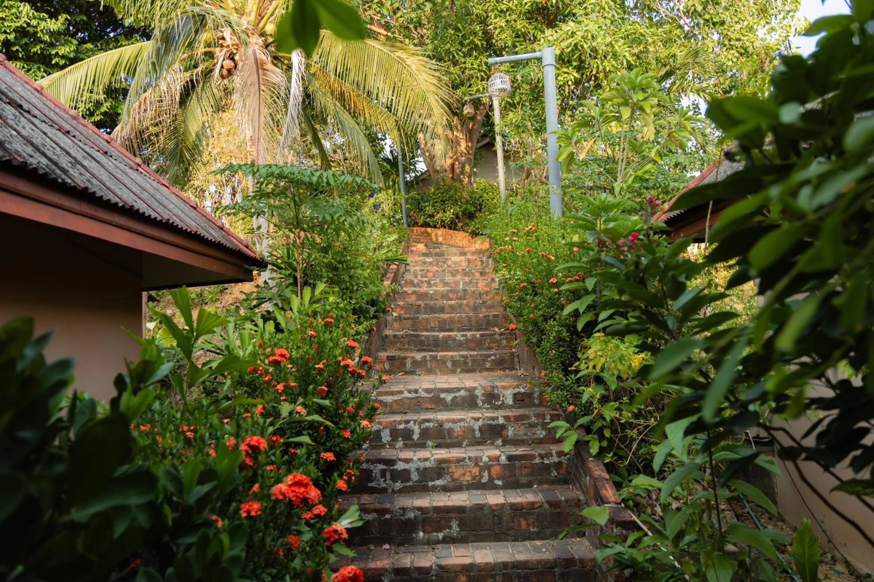 Natural landscape in Dream Team Beach Resort