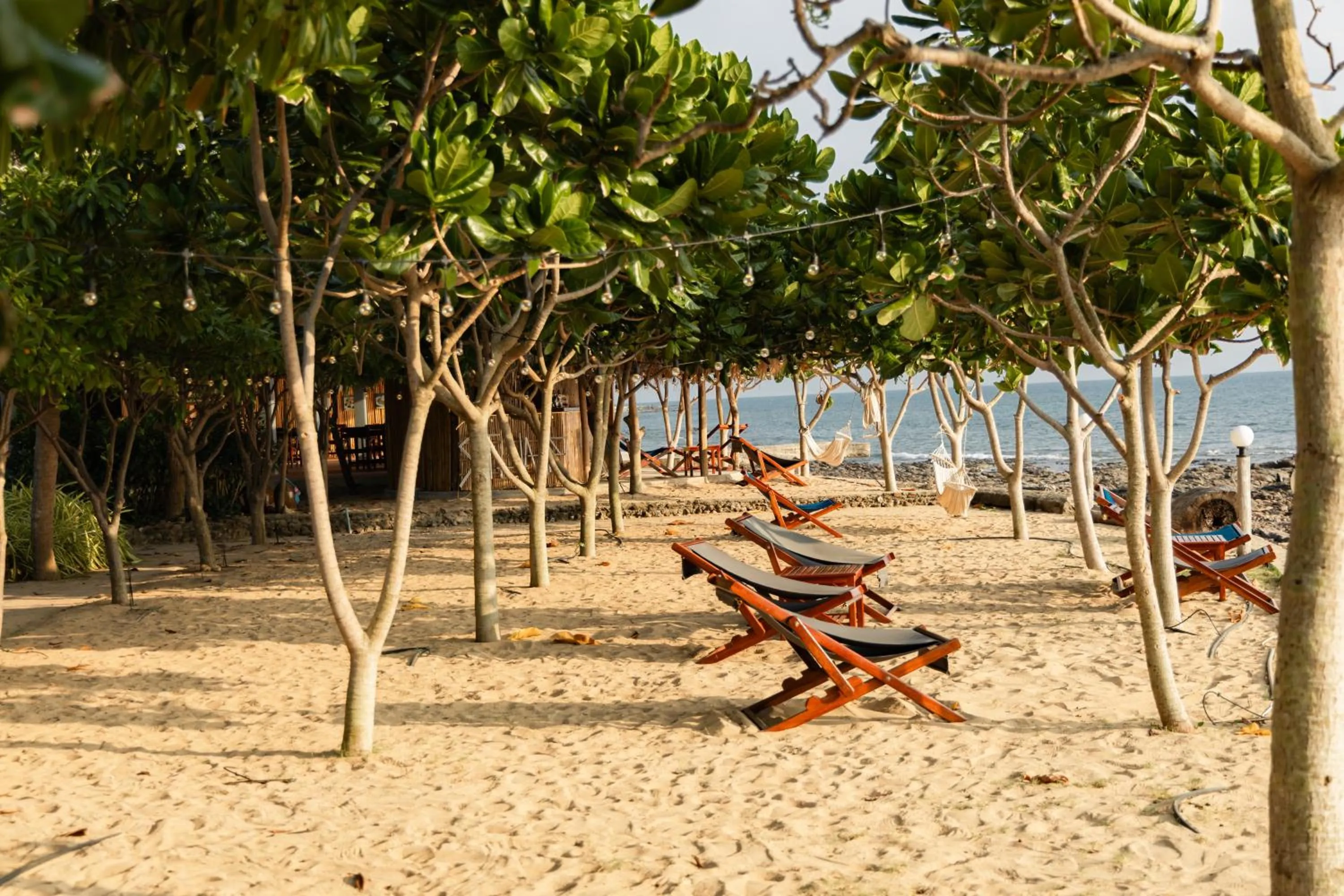 sunbed in Dream Team Beach Resort