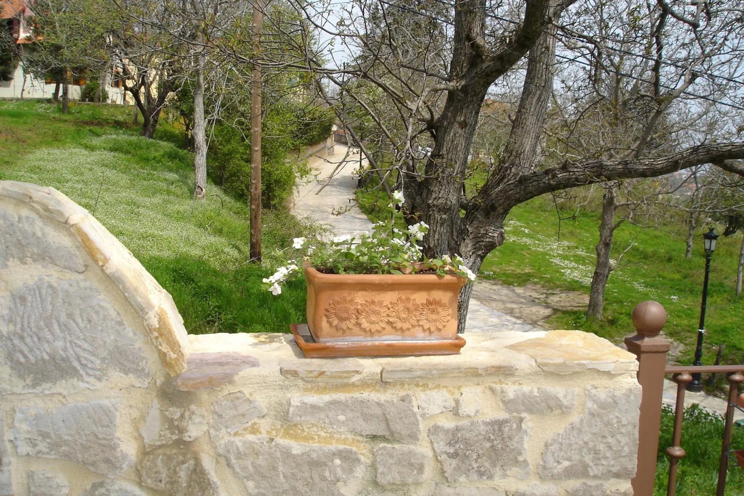 Spring in Vaela Hotel Cultural Resort