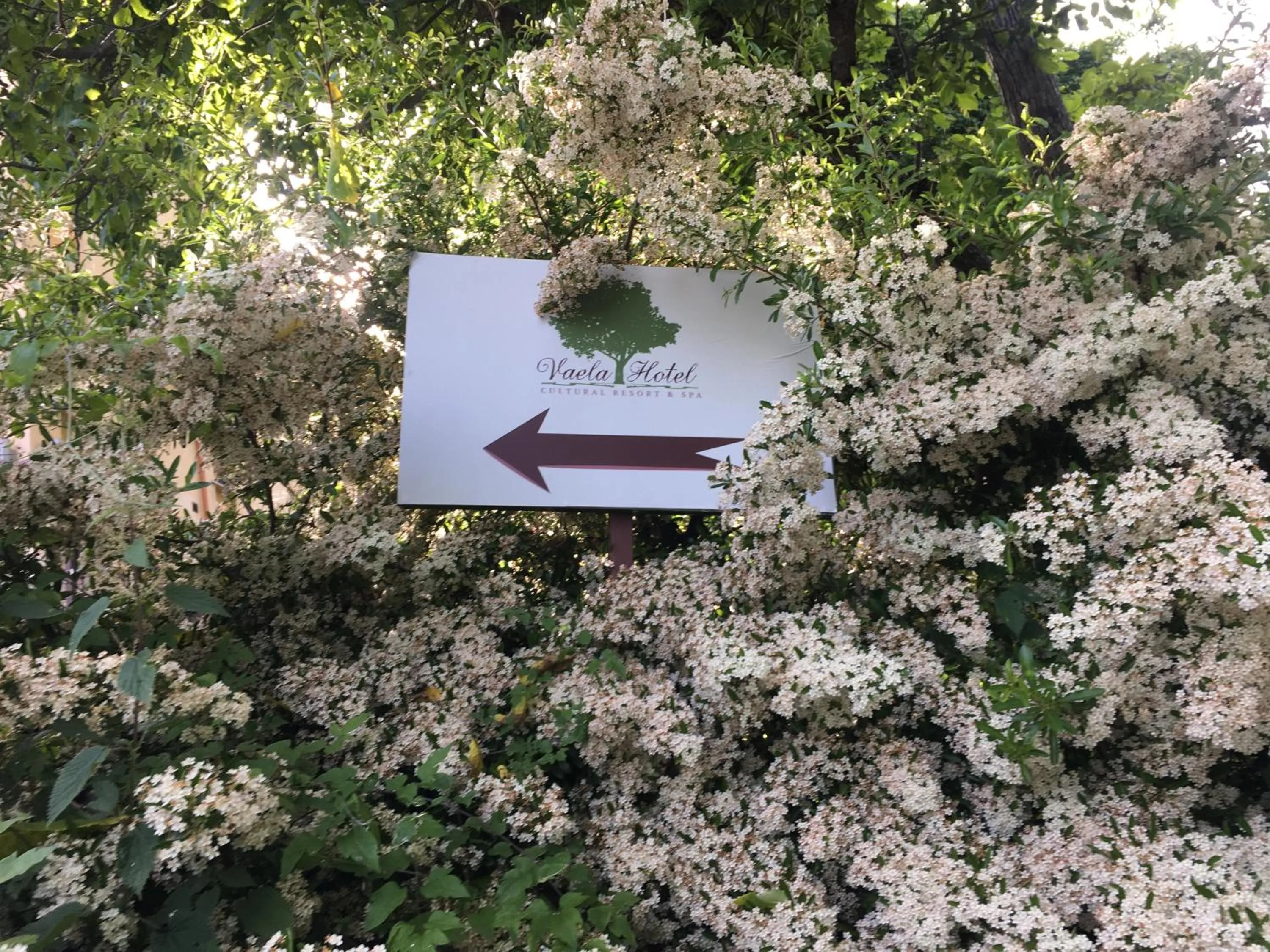 Spring in Vaela Hotel Cultural Resort