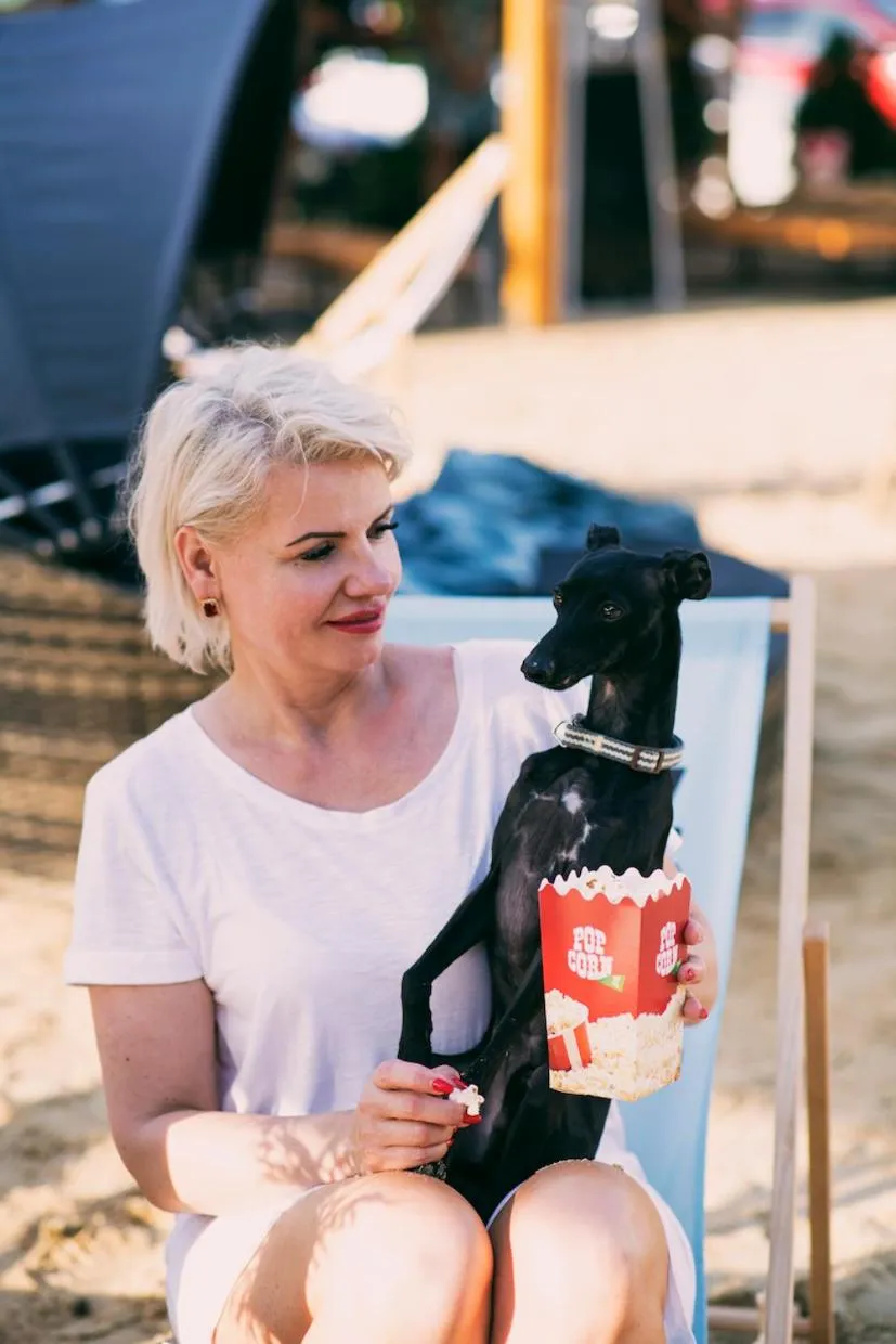 Children play ground in Hotel Kotarz Spa&Wellness