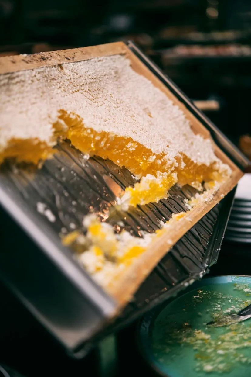 Breakfast in Hotel Kotarz Spa&Wellness