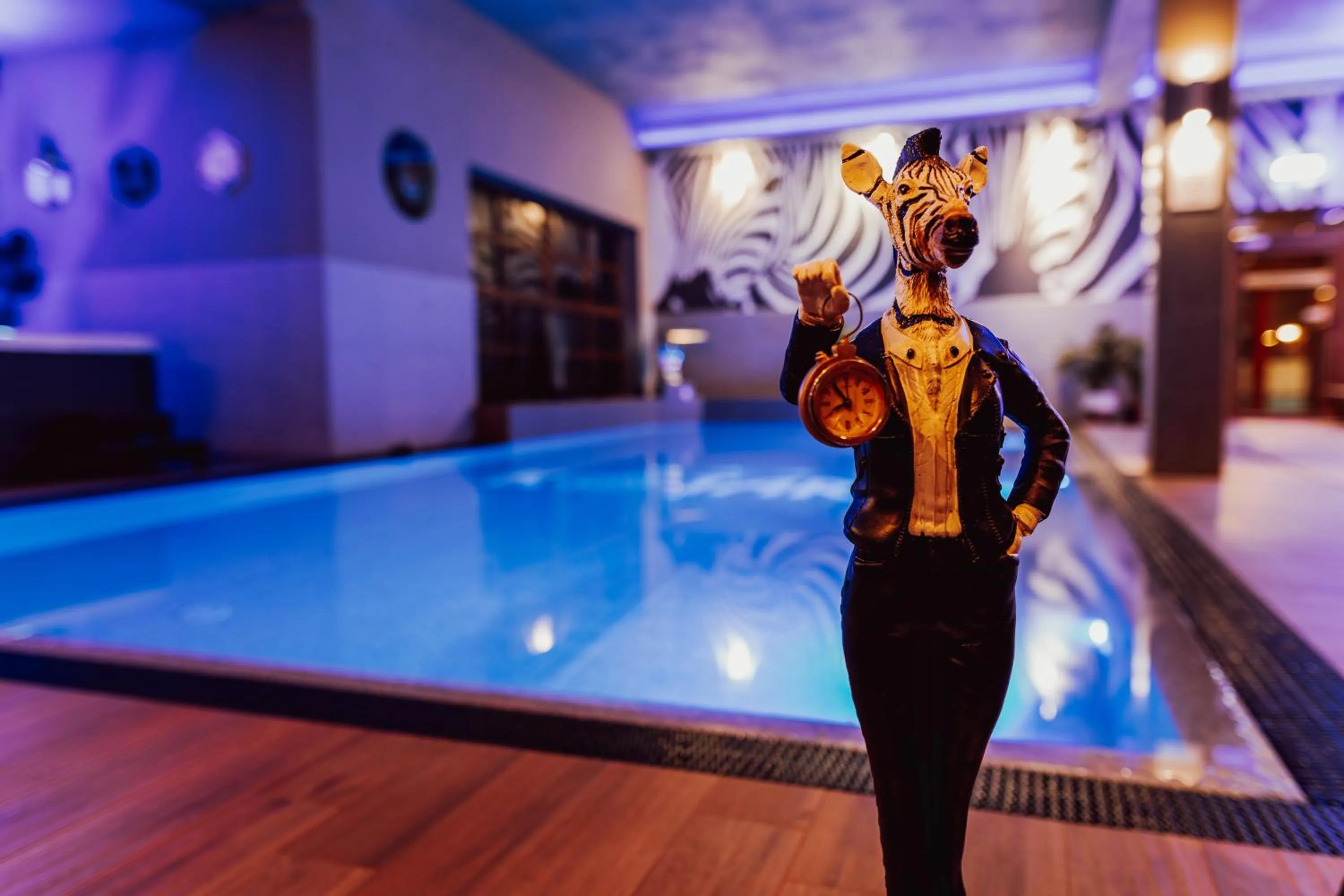 Spa and wellness centre/facilities in Hotel Kotarz Spa&Wellness