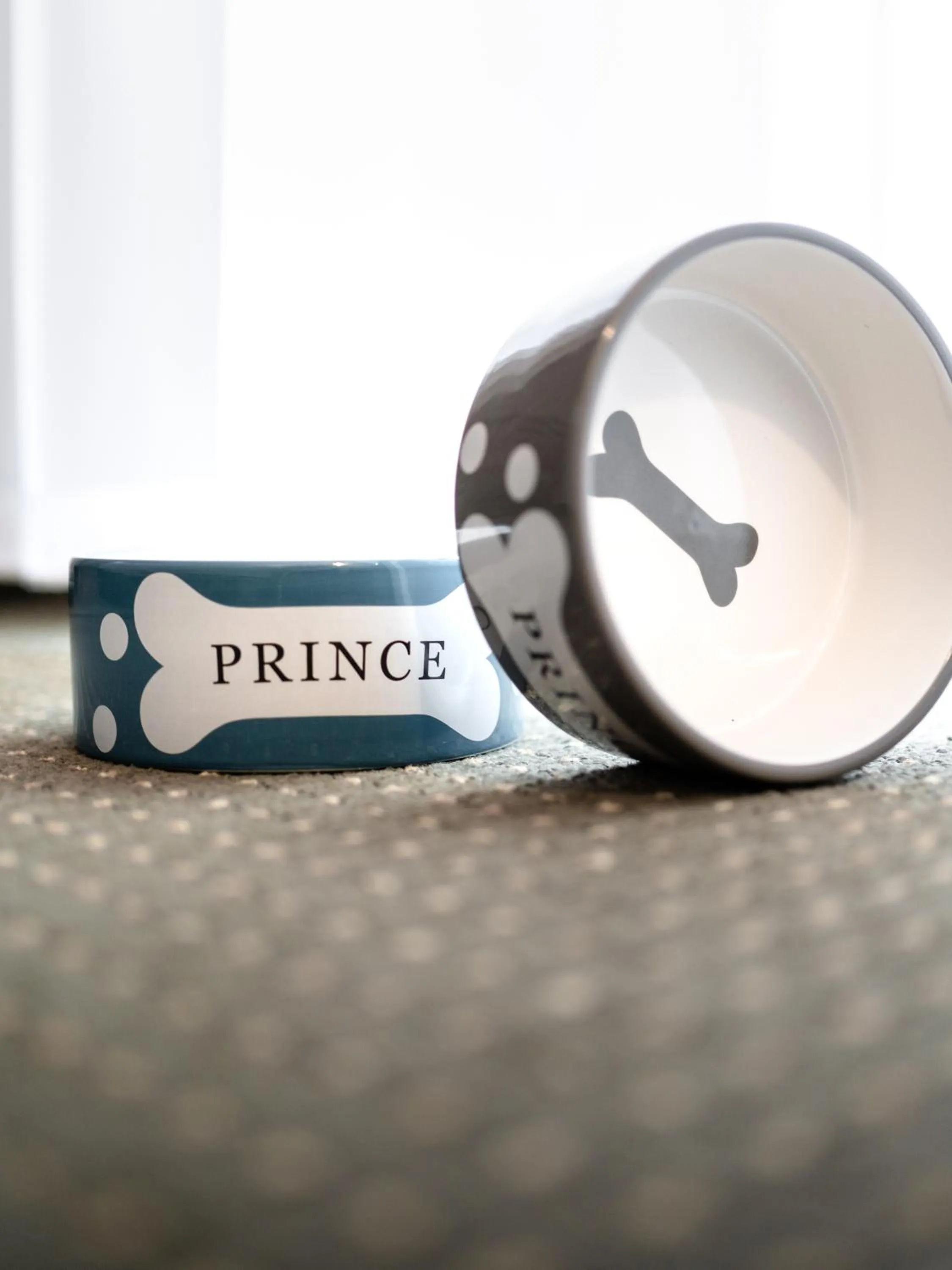 Animals in Hotel Kotarz Spa&Wellness