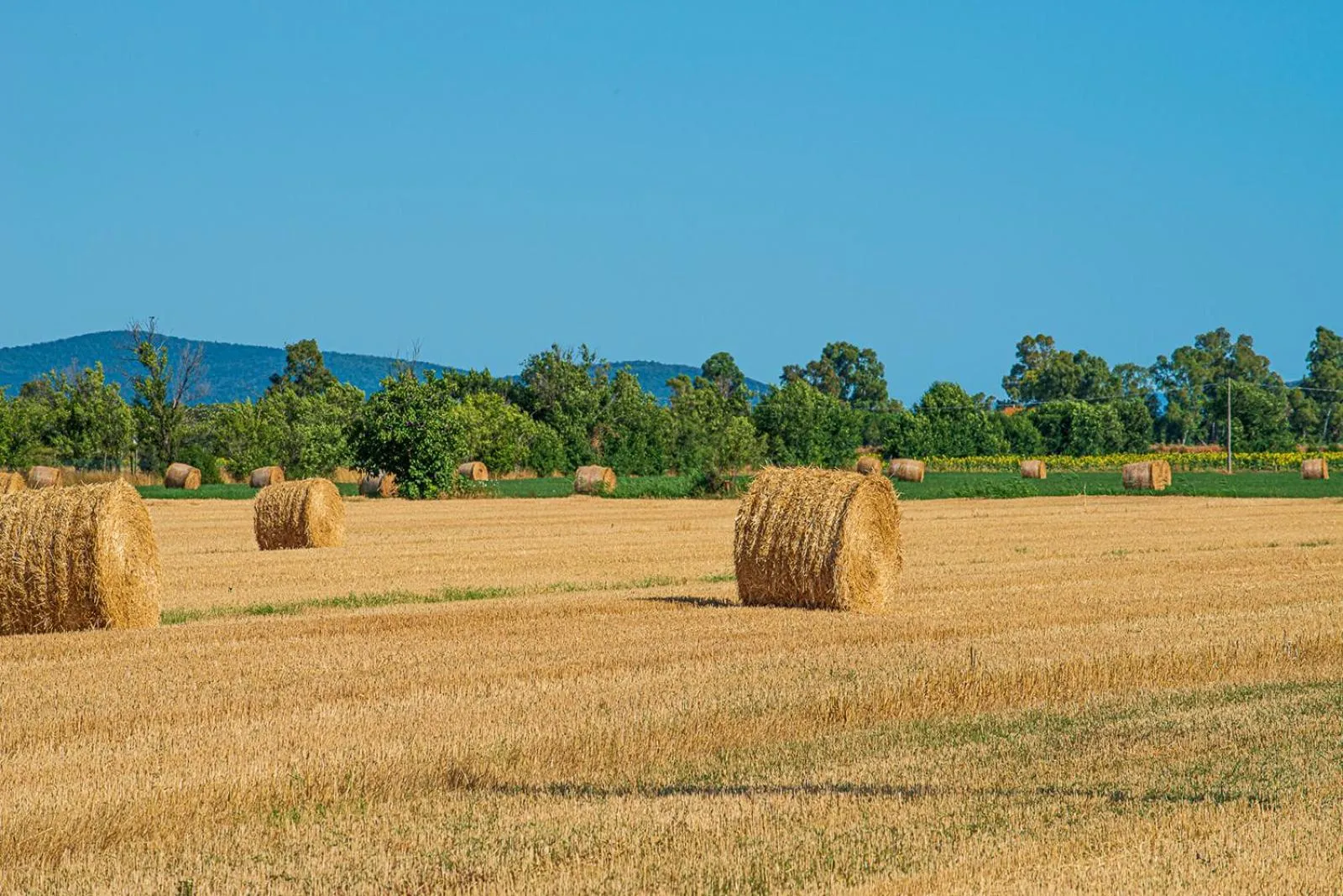 Natural landscape in Residenza Principina
