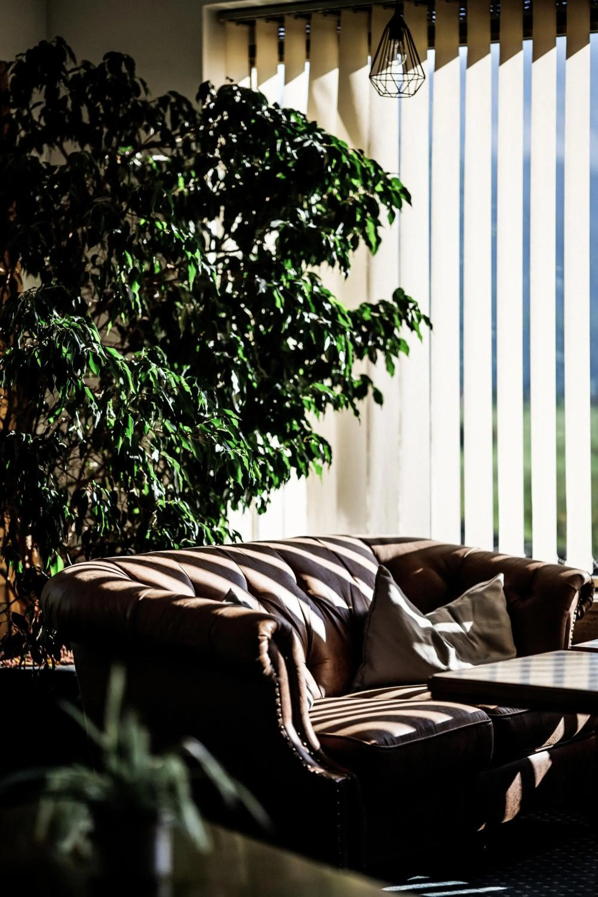 Lounge or bar in Mellow Mountain Hostel