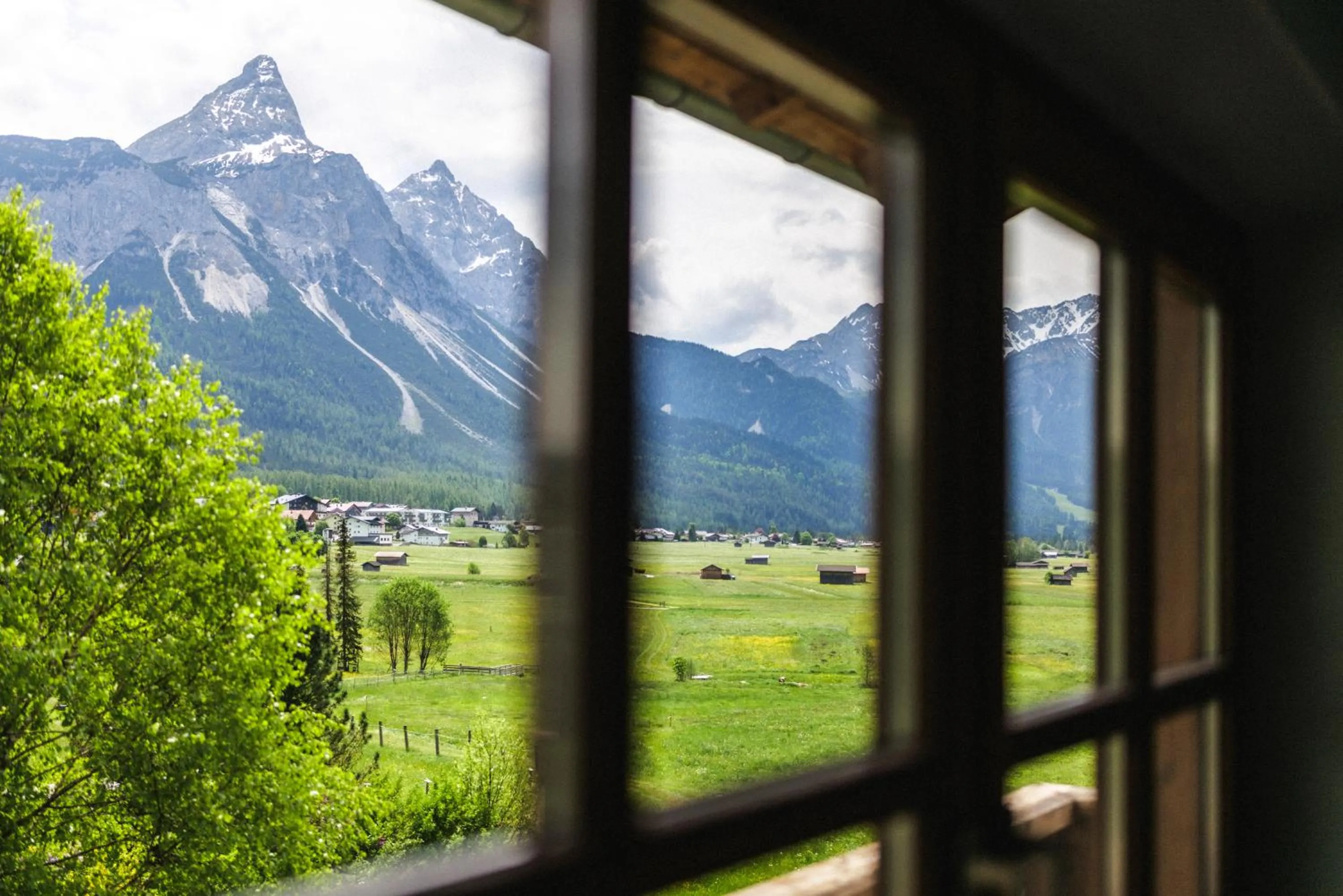 Natural landscape in Mellow Mountain Hostel