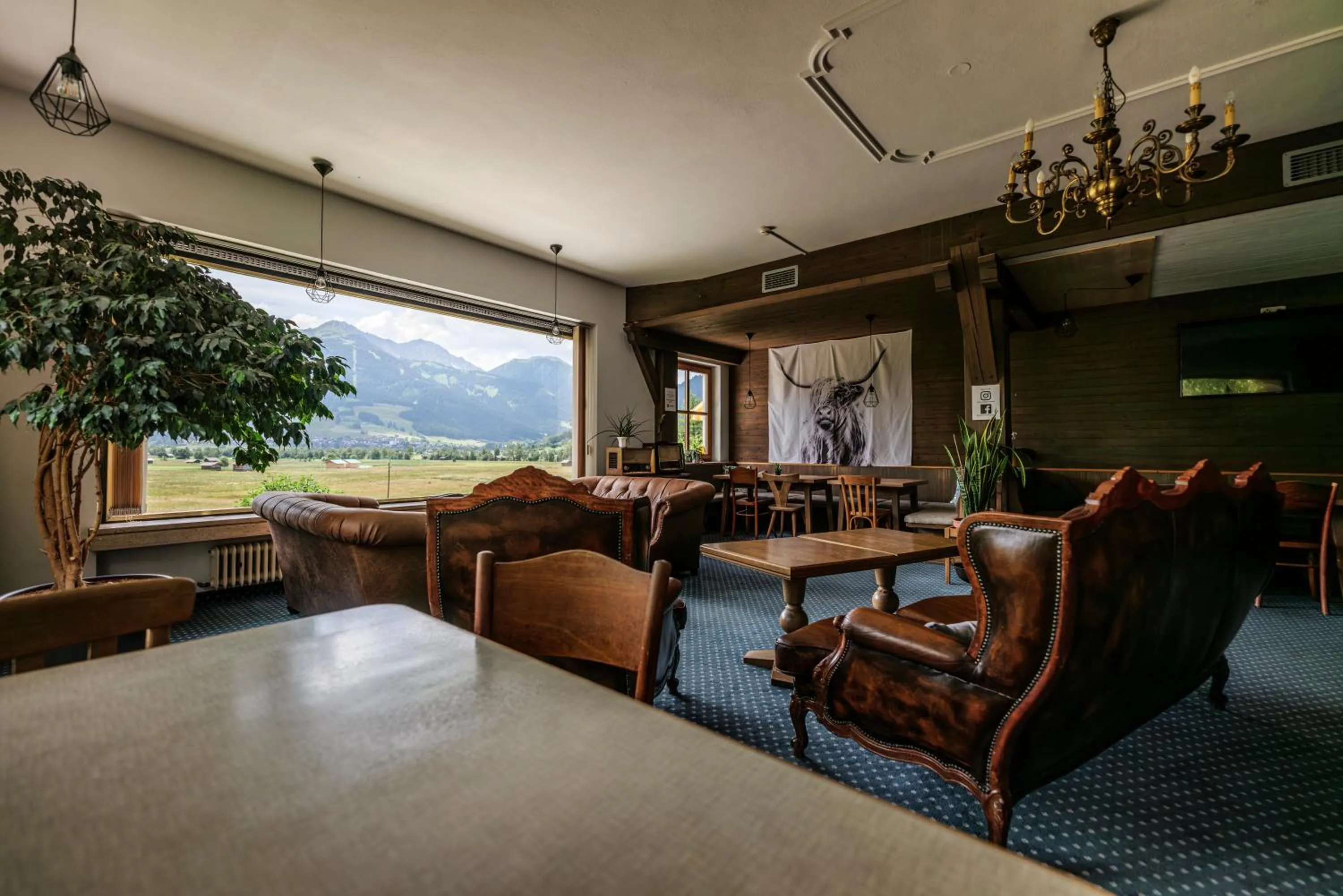 Lounge or bar in Mellow Mountain Hostel