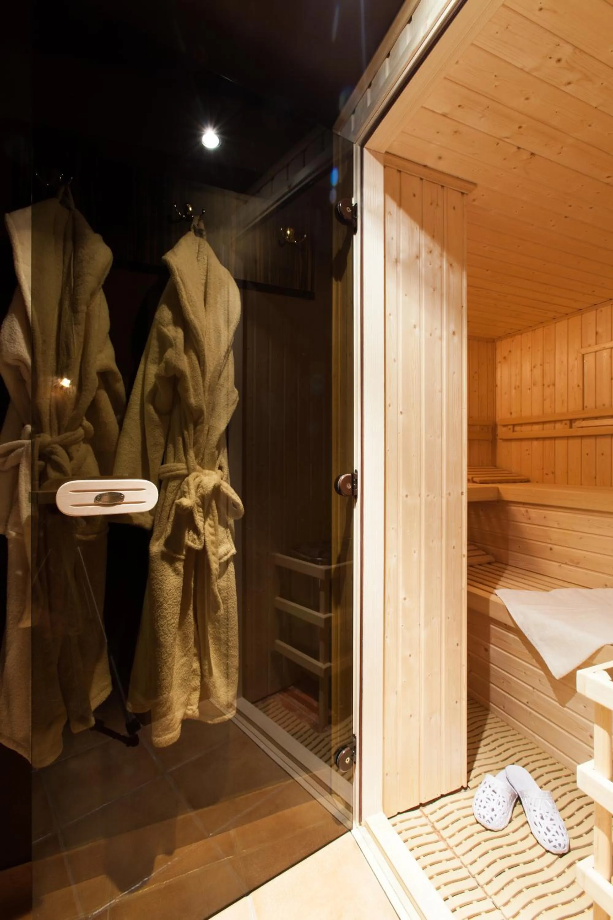 Sauna in Villa Cynamon Jacuzzi & Sauna