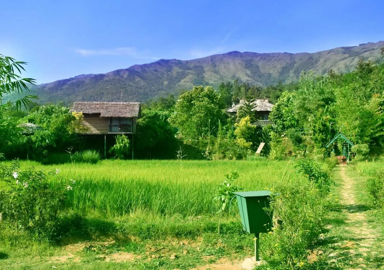 Natural landscape in KOOMANKOLLY RESORT