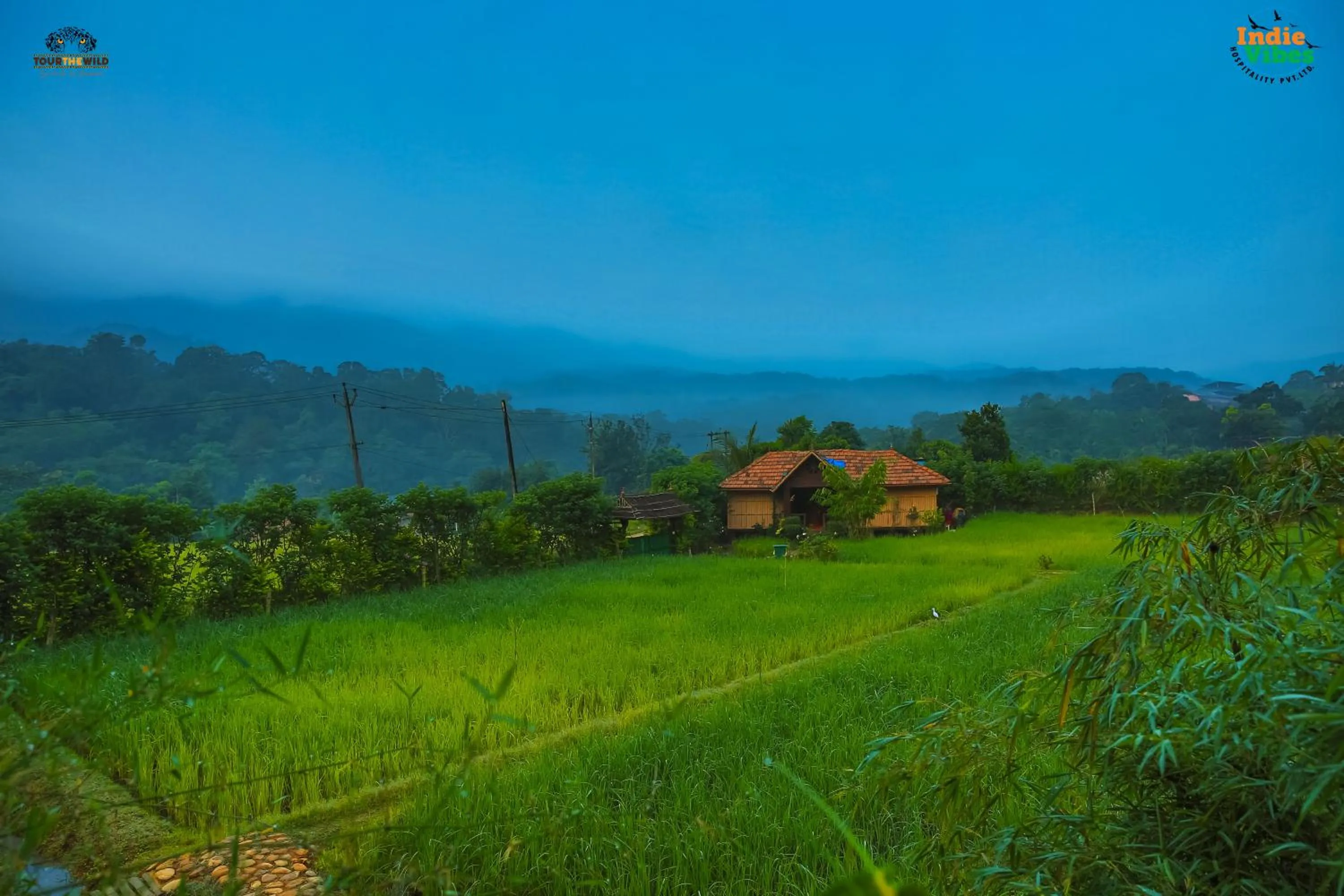 Natural landscape in KOOMANKOLLY RESORT