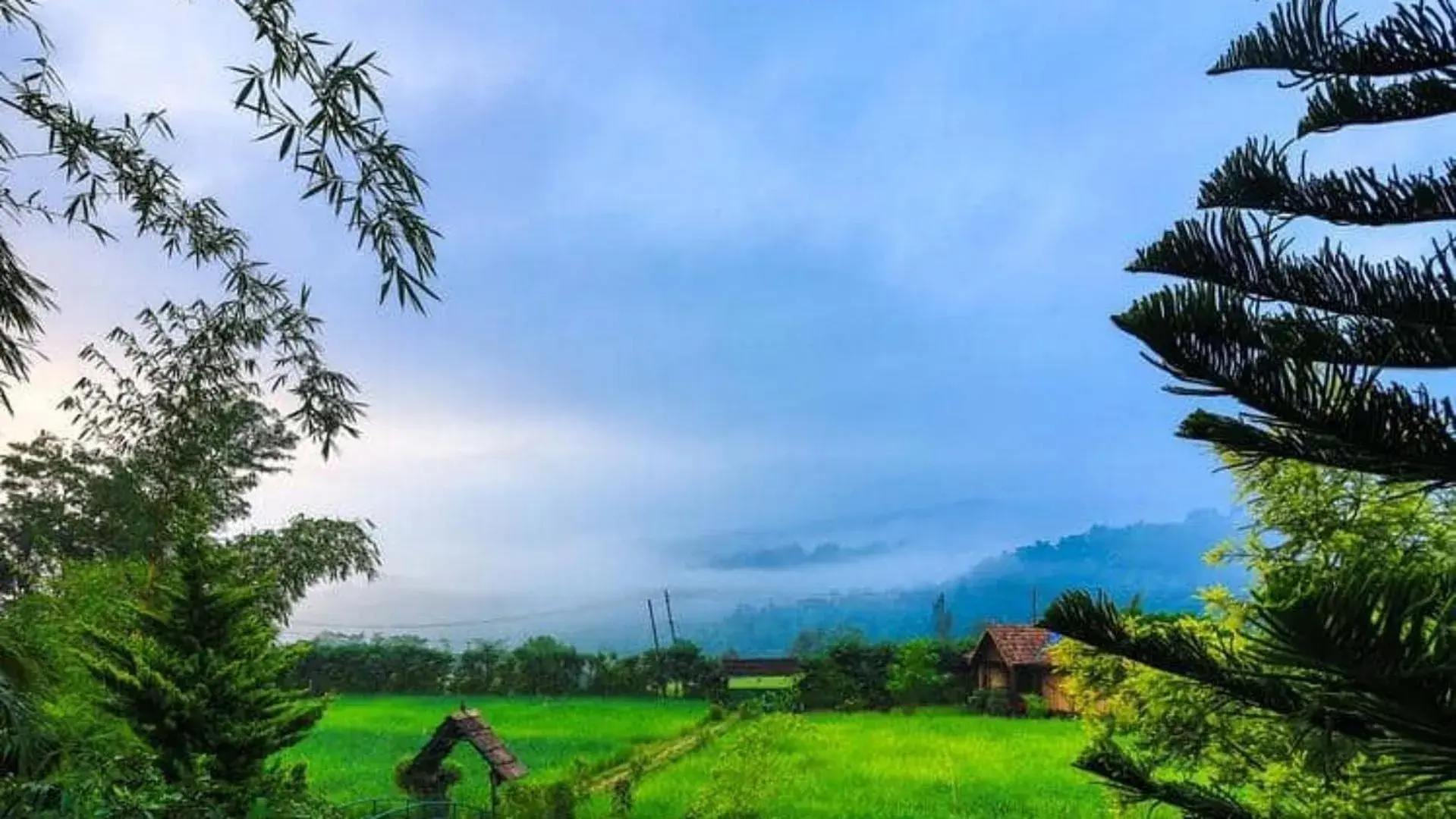 View (from property/room) in KOOMANKOLLY RESORT View (from property/room) in KOOMANKOLLY RESORT
