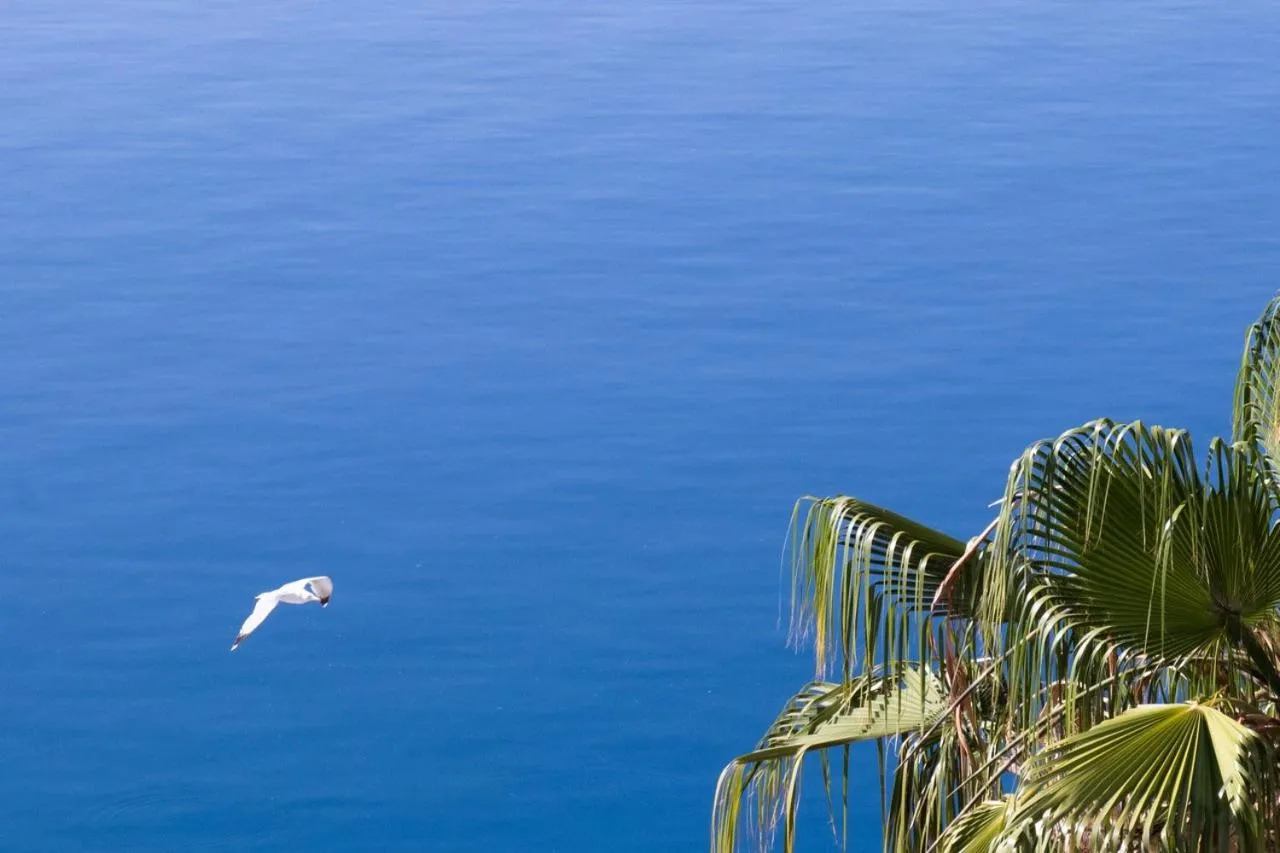 Day in Grand Bleu Apartments & Villas