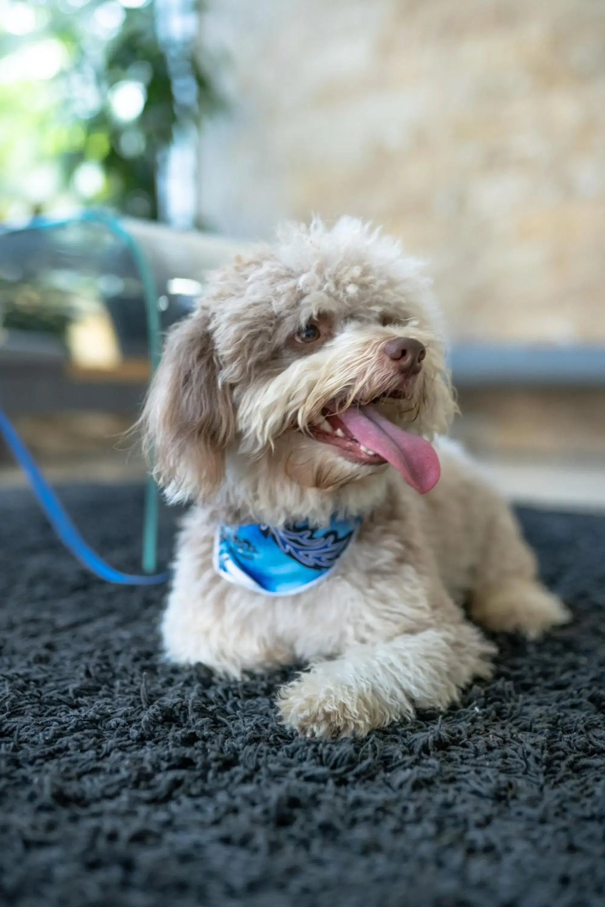 Property building in GHL Hotel Barranquilla Property building in GHL Hotel Barranquilla