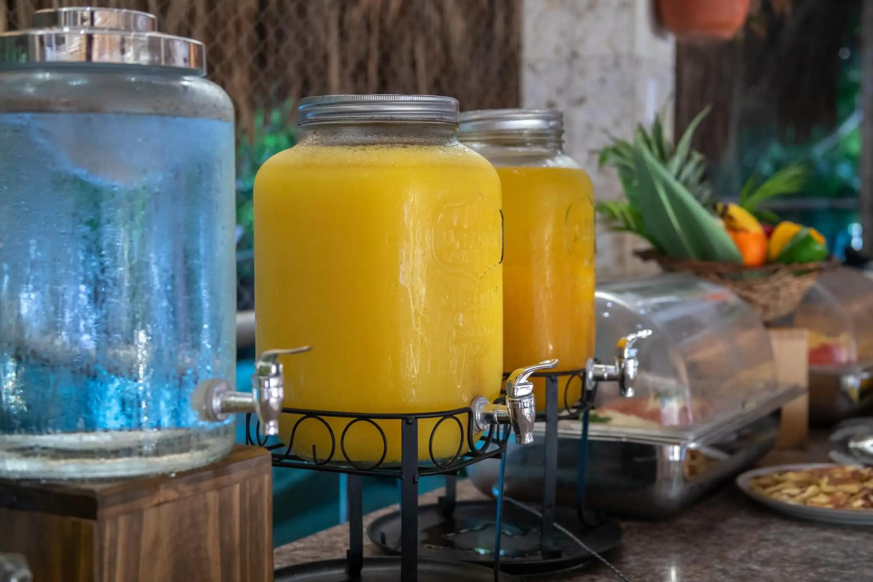 Food and drinks in GHL Relax Hotel Costa Azul Food and drinks in GHL Relax Hotel Costa Azul