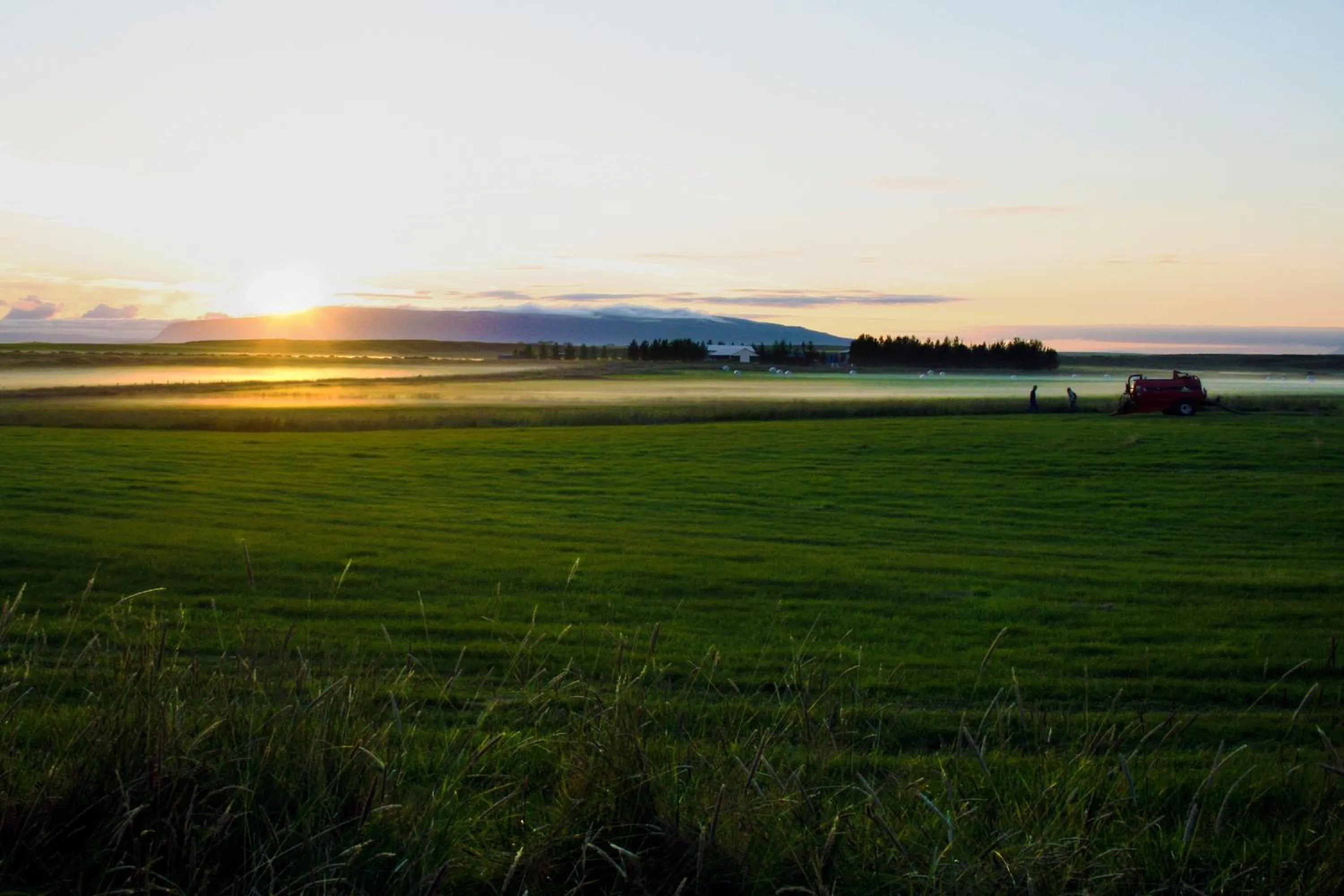 Garden in Guesthouse Vatnsholt