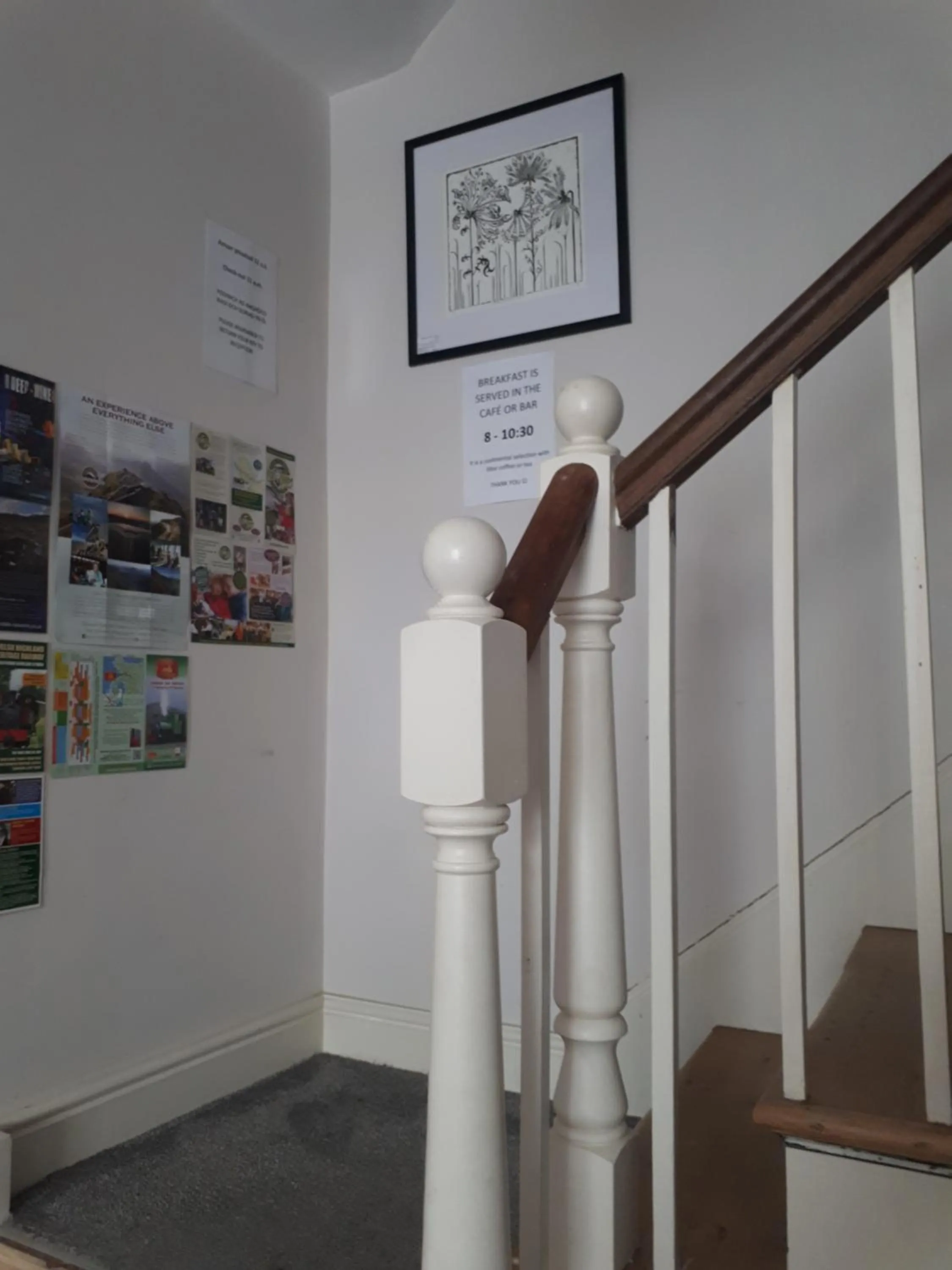 Ty Glyndwr Bunkhouse, Bar and cafe