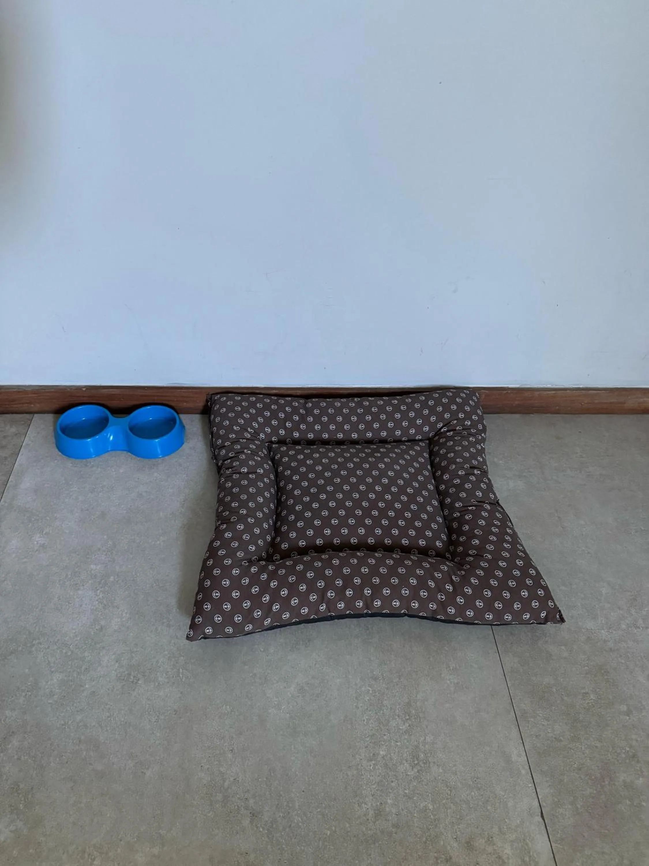 Pets in Bravo Pousada Design