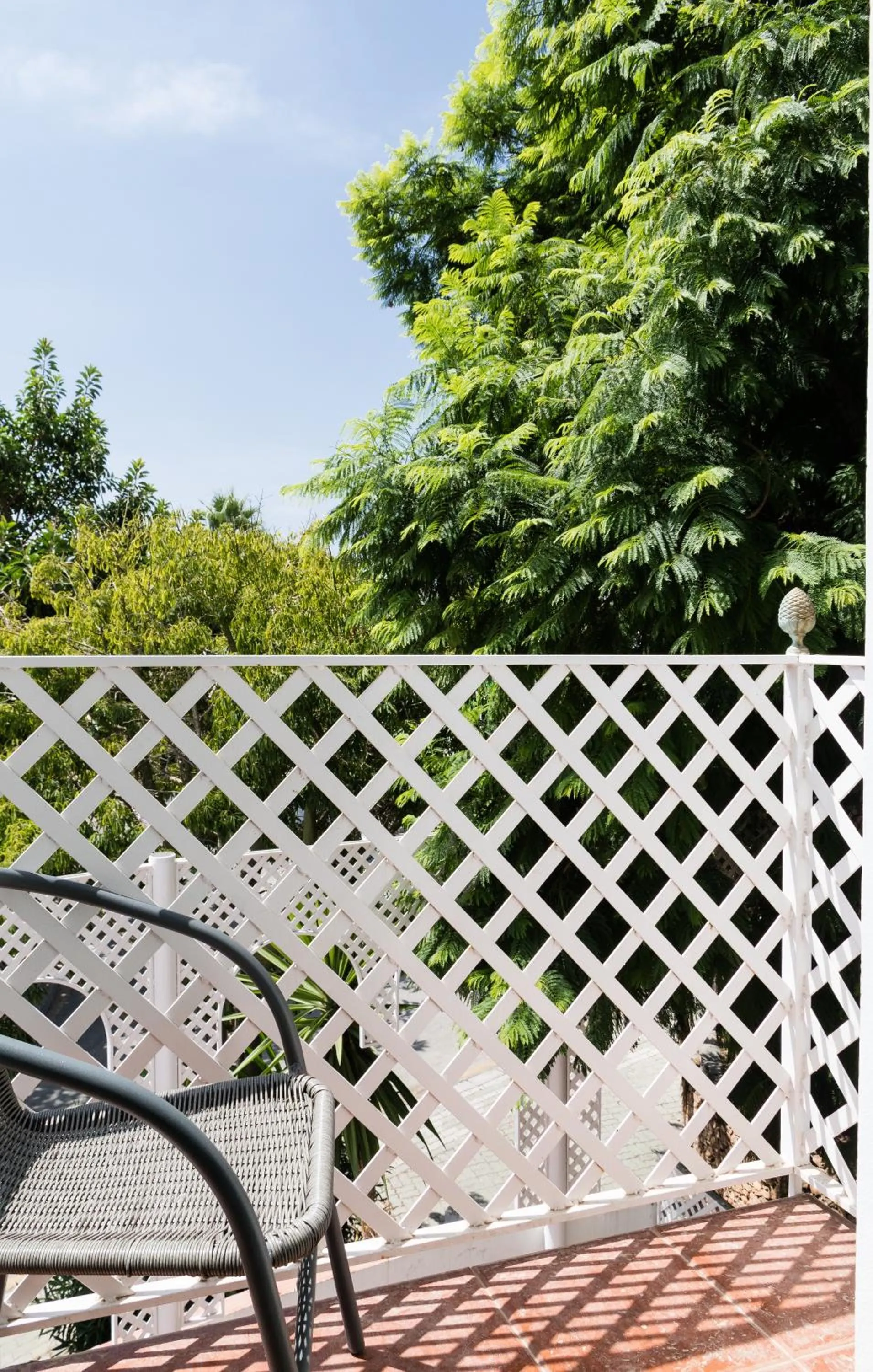 Patio in Hostal Alegre