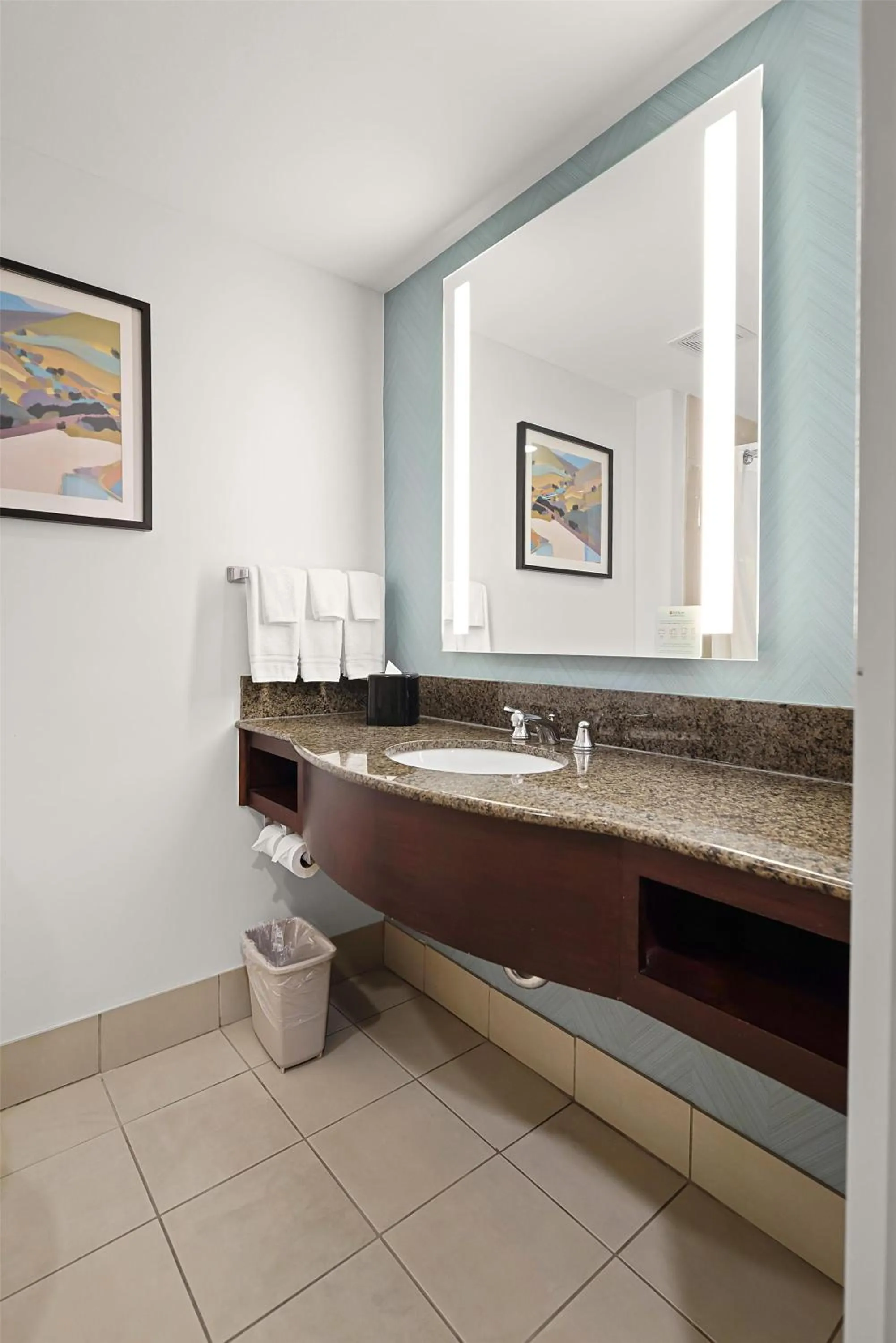 Bathroom in Hilton Garden Inn New Braunfels