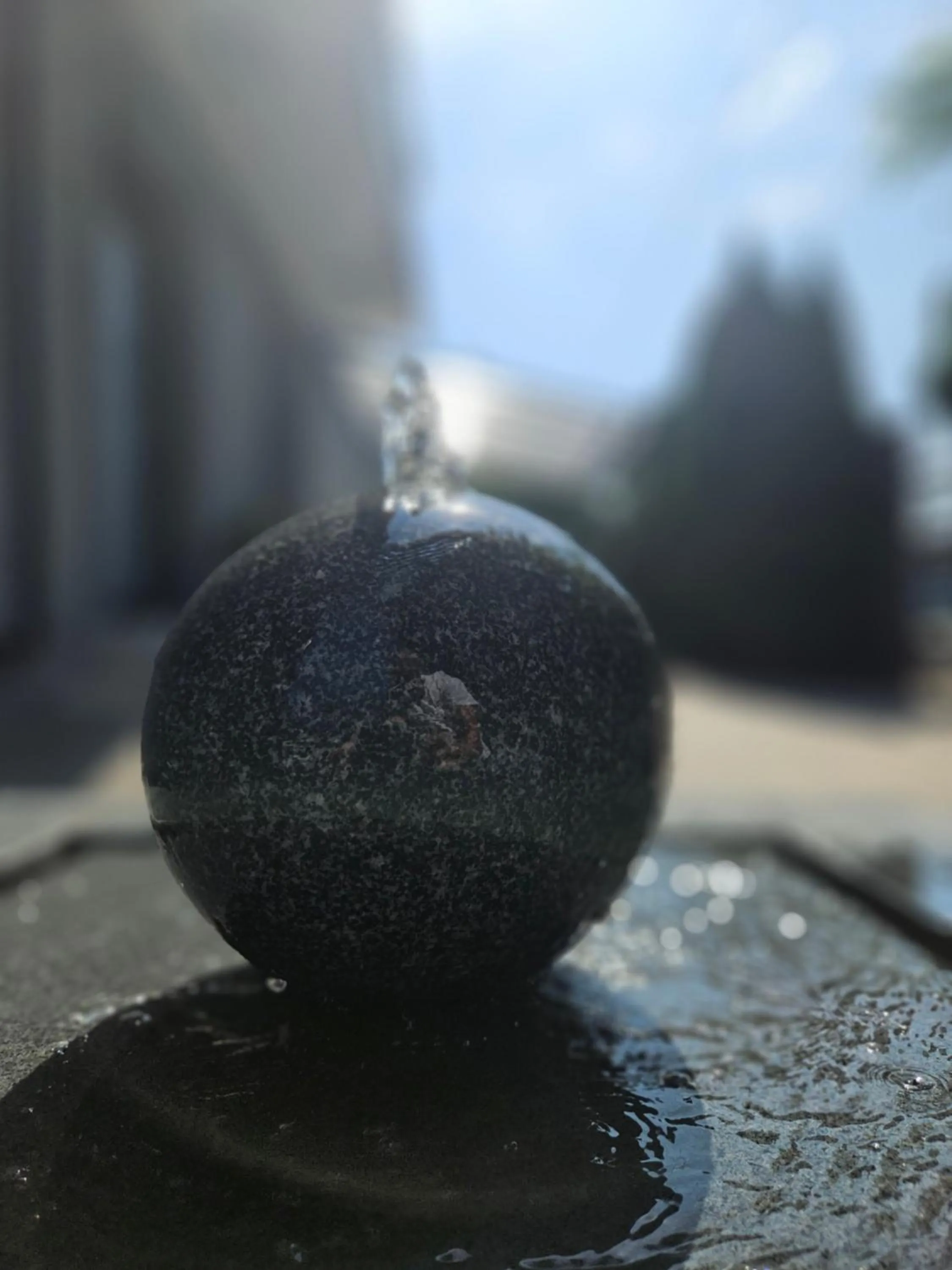 Virgo B&B Biznes Rumia