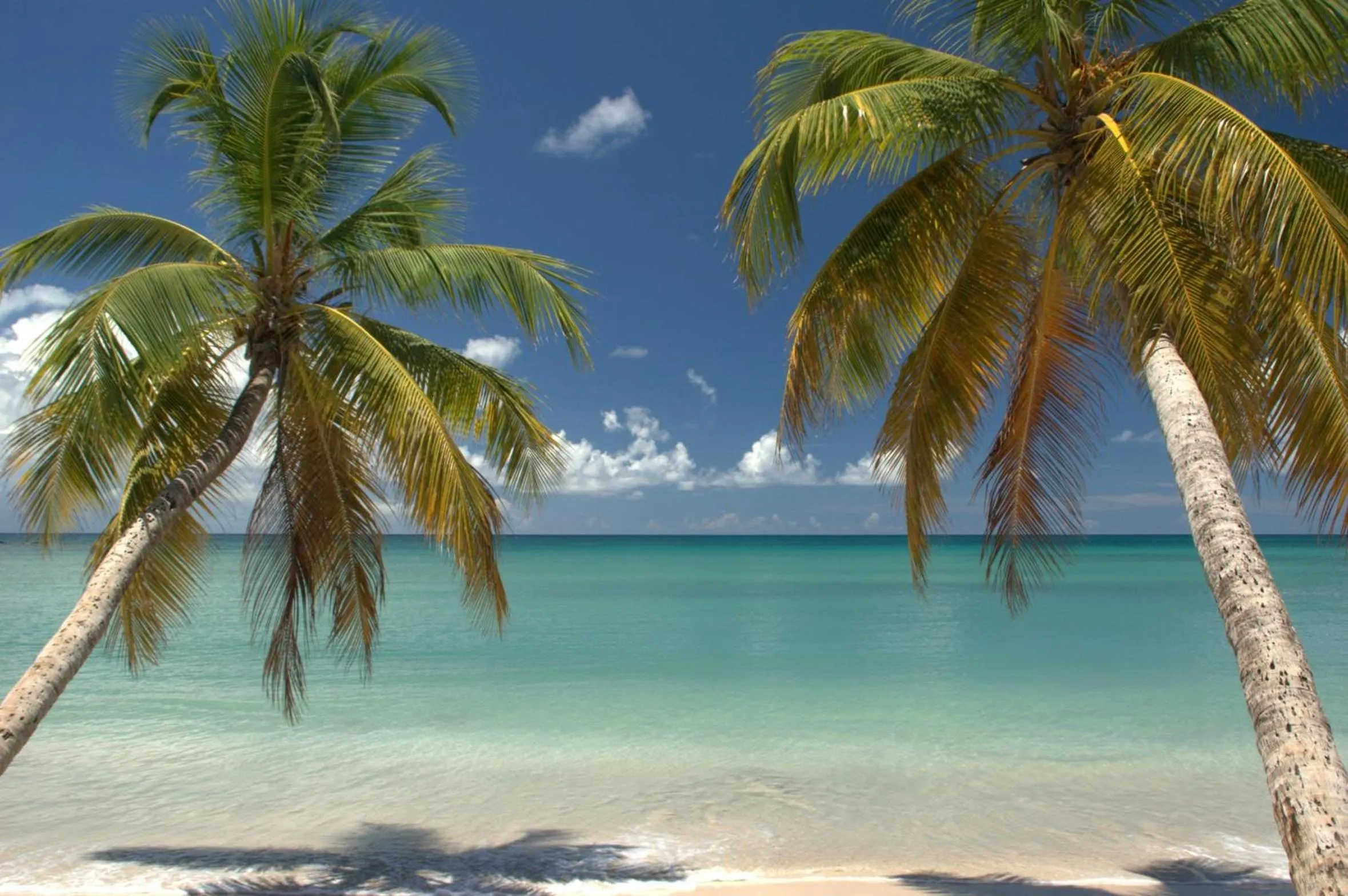 Beach in Diamant les bains - Résidence Hôtelière
