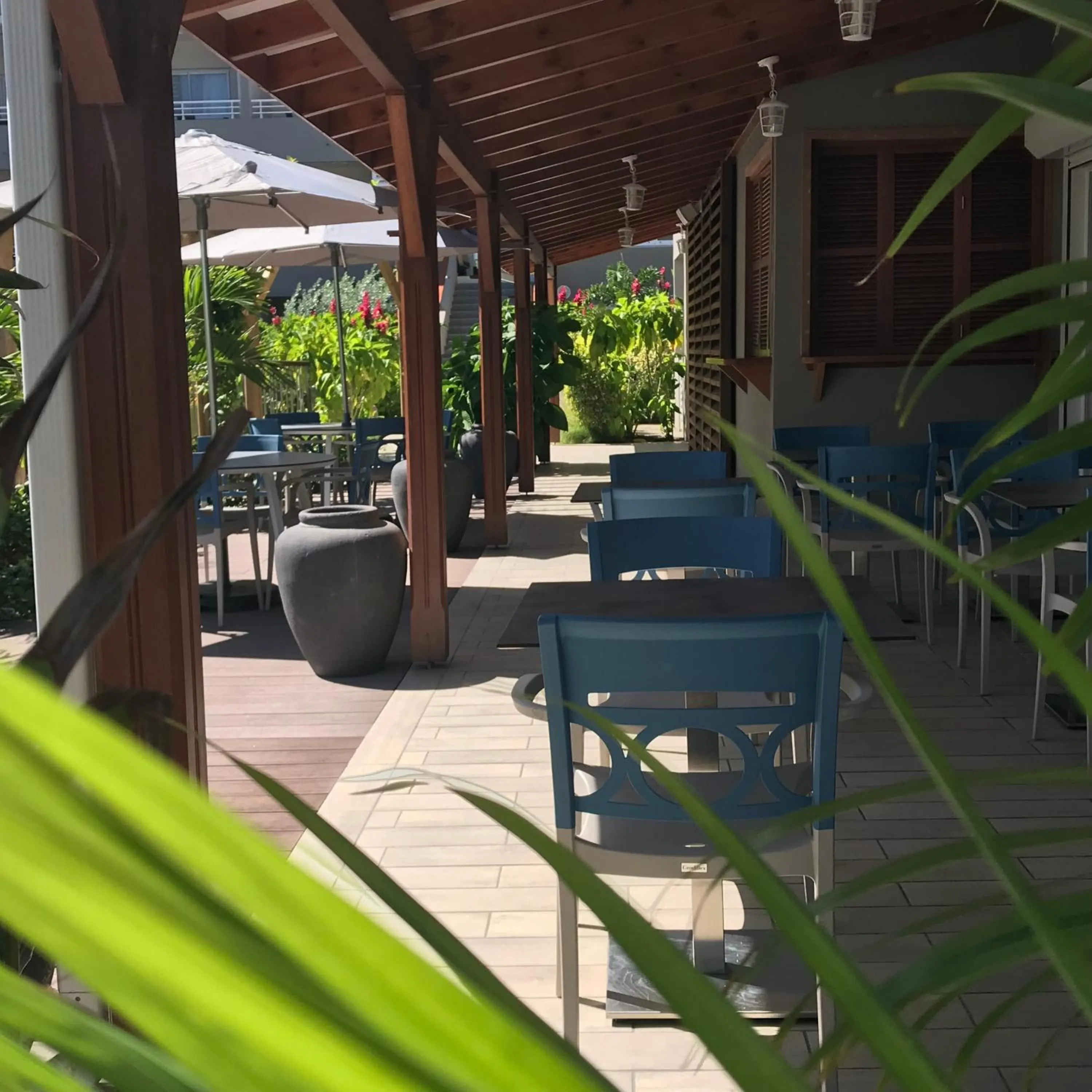 Restaurant/places to eat in Diamant les bains - Résidence Hôtelière