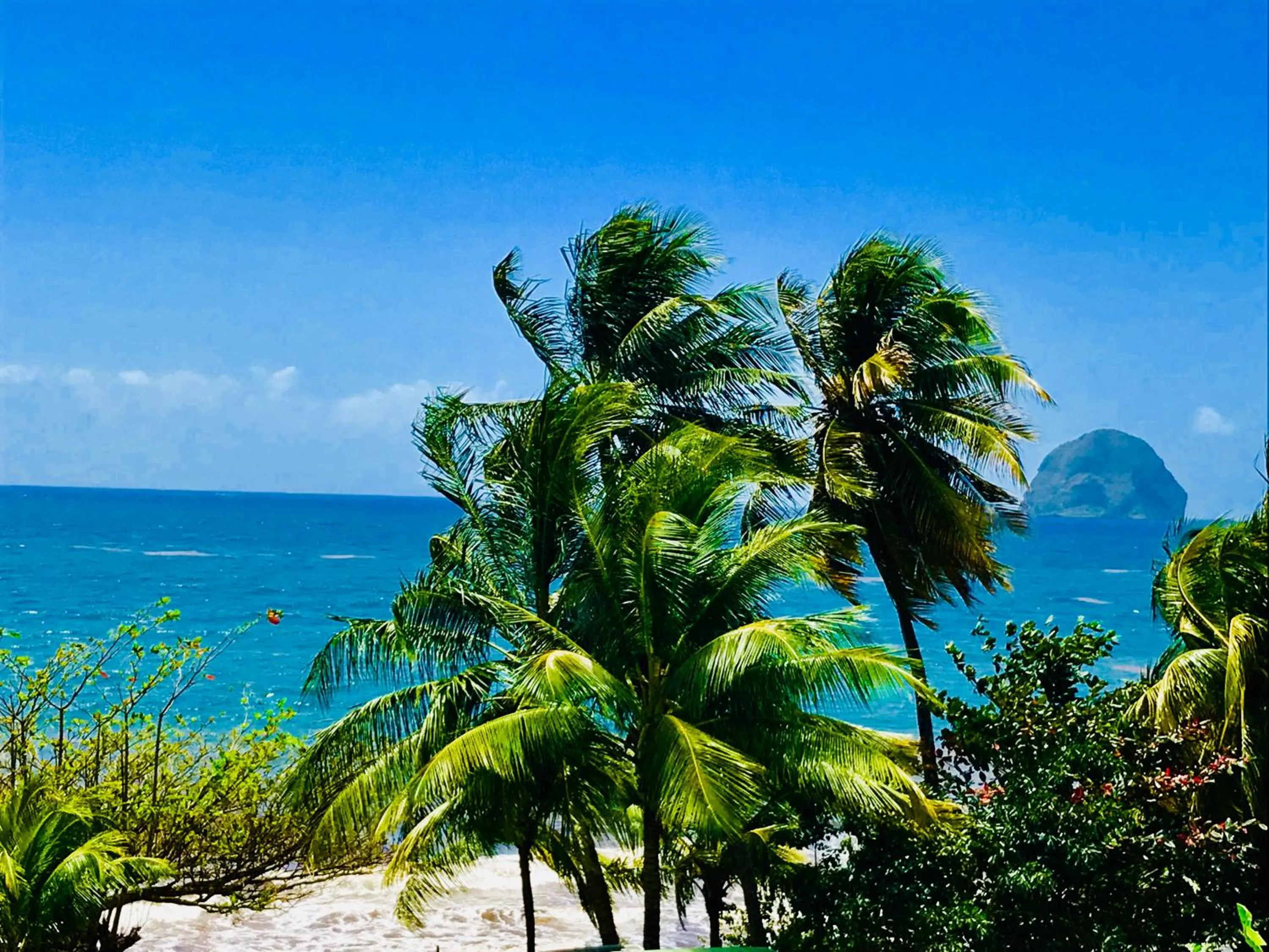 Balcony/Terrace in Diamant les bains - Résidence Hôtelière