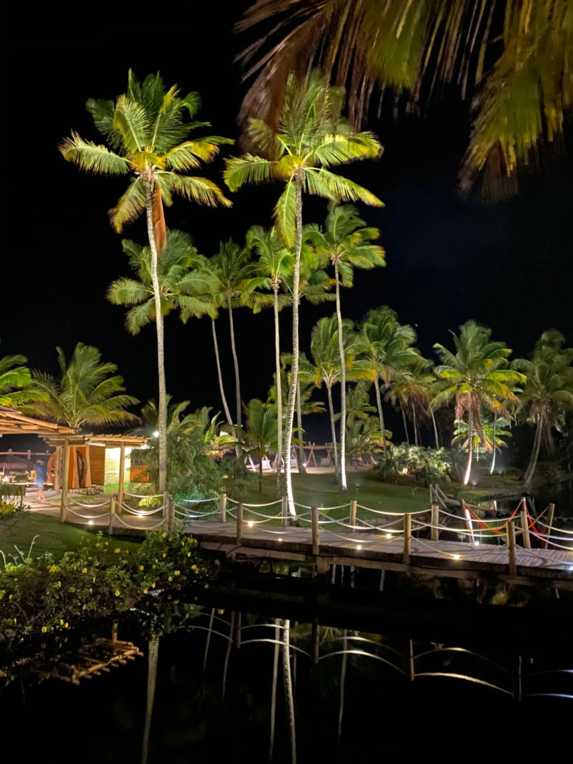 Natural landscape in Resort Tororomba