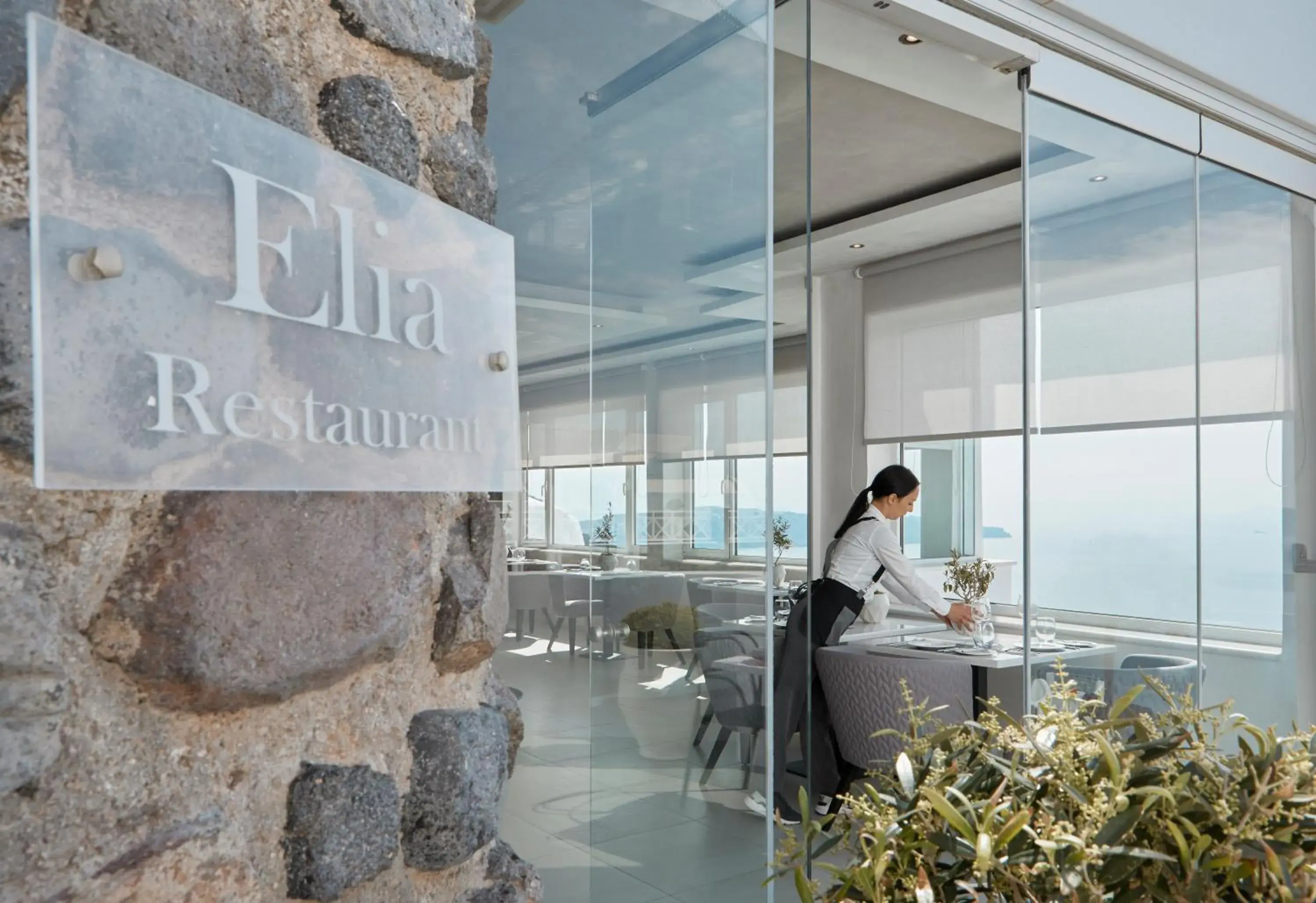 Restaurant/places to eat in Petit Palace Suites Restaurant/places to eat in Petit Palace Suites