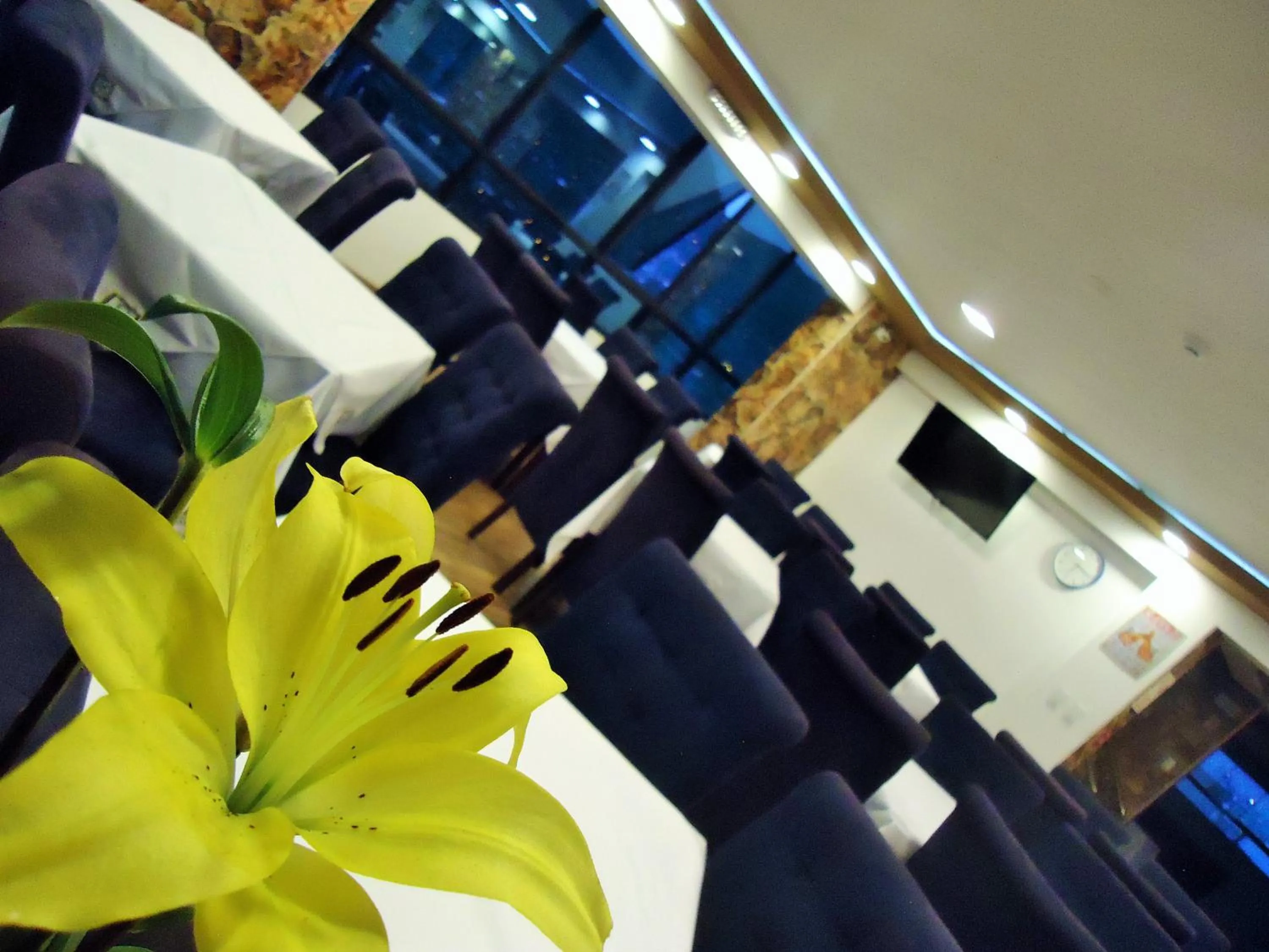 Restaurant/places to eat in San Francisco Cusco Hotel