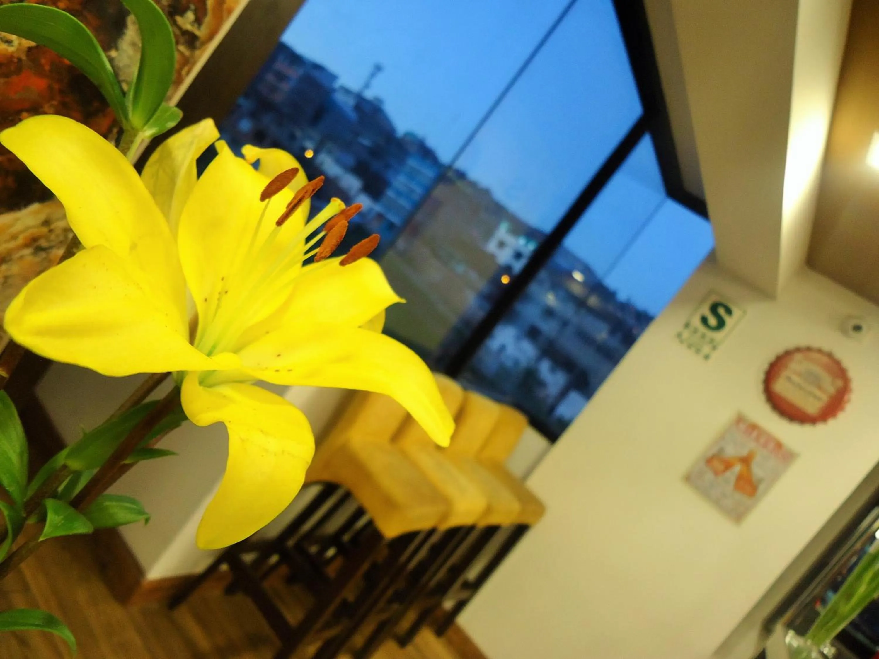 Restaurant/places to eat in San Francisco Cusco Hotel