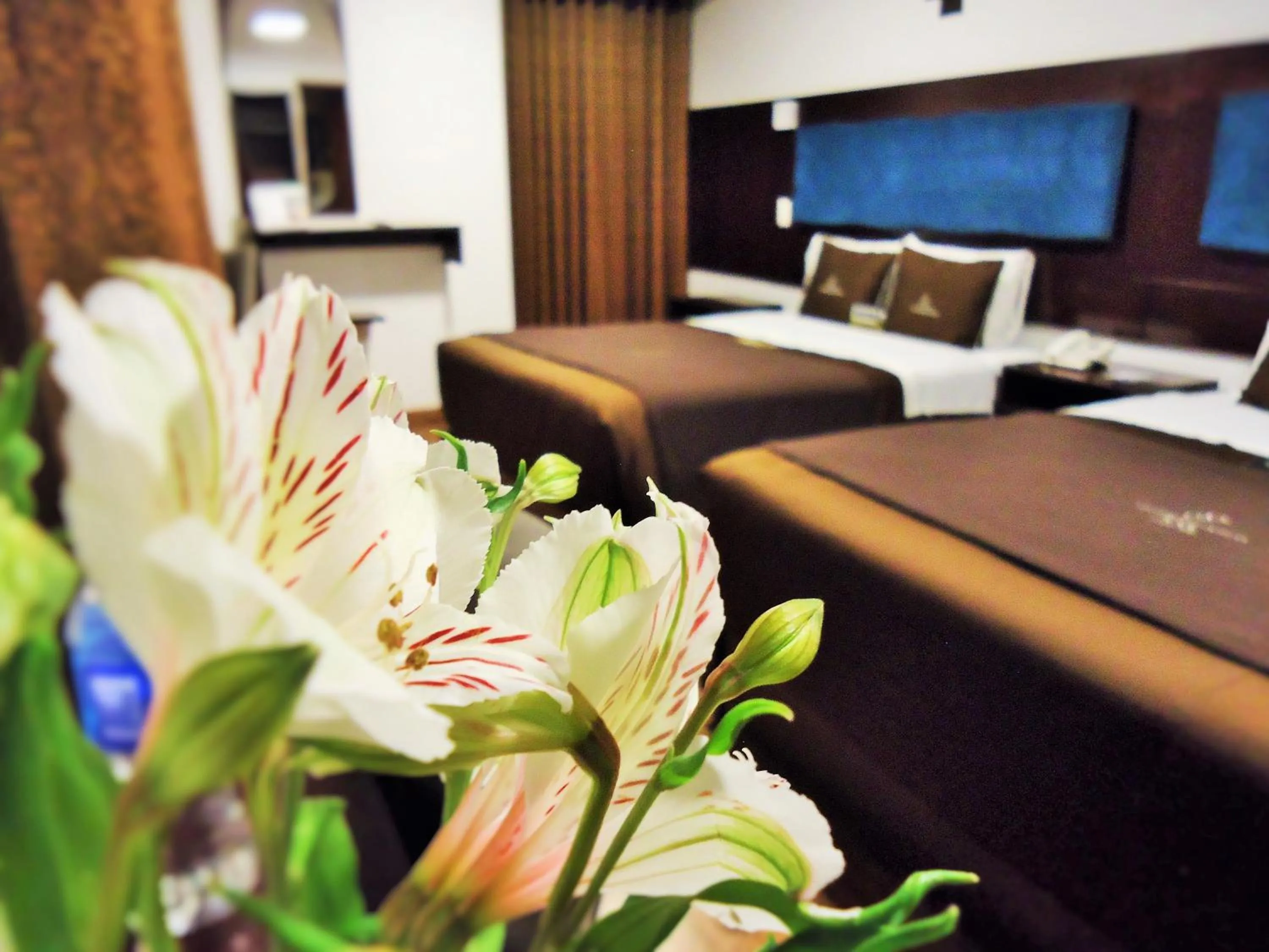 Bed in San Francisco Cusco Hotel