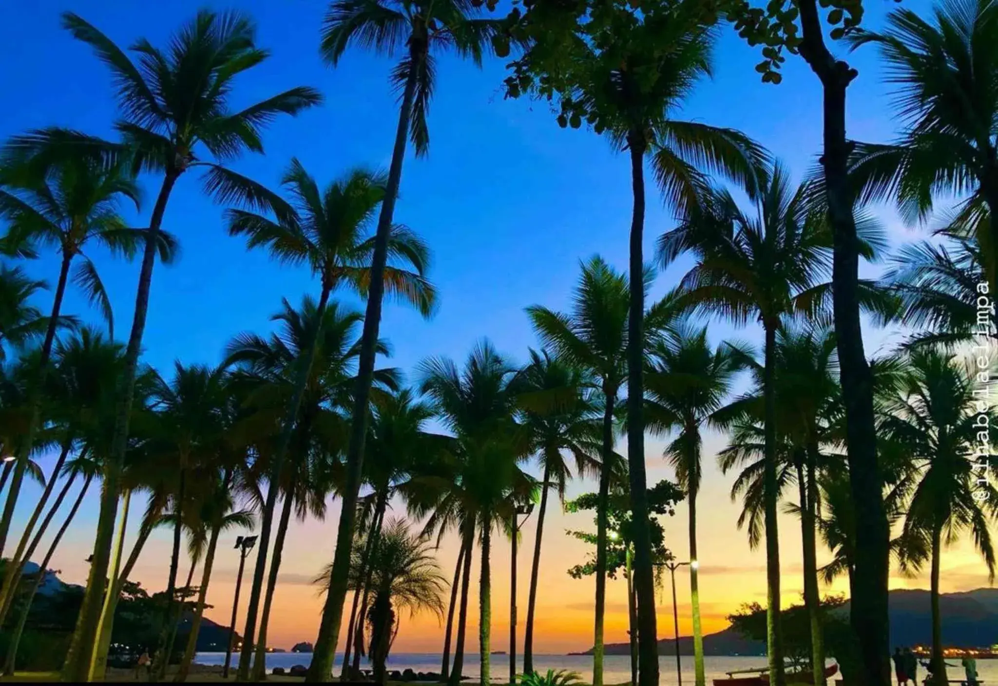 Pousada Chale Suísso Pousada Chale Suísso