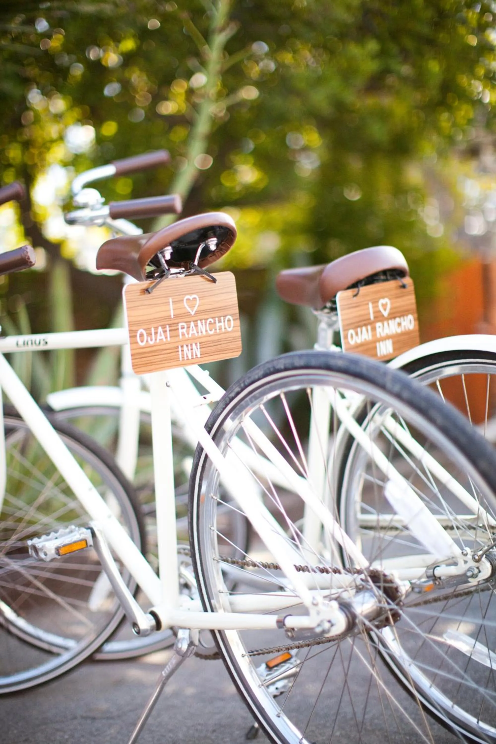 Cycling in Ojai Rancho Inn